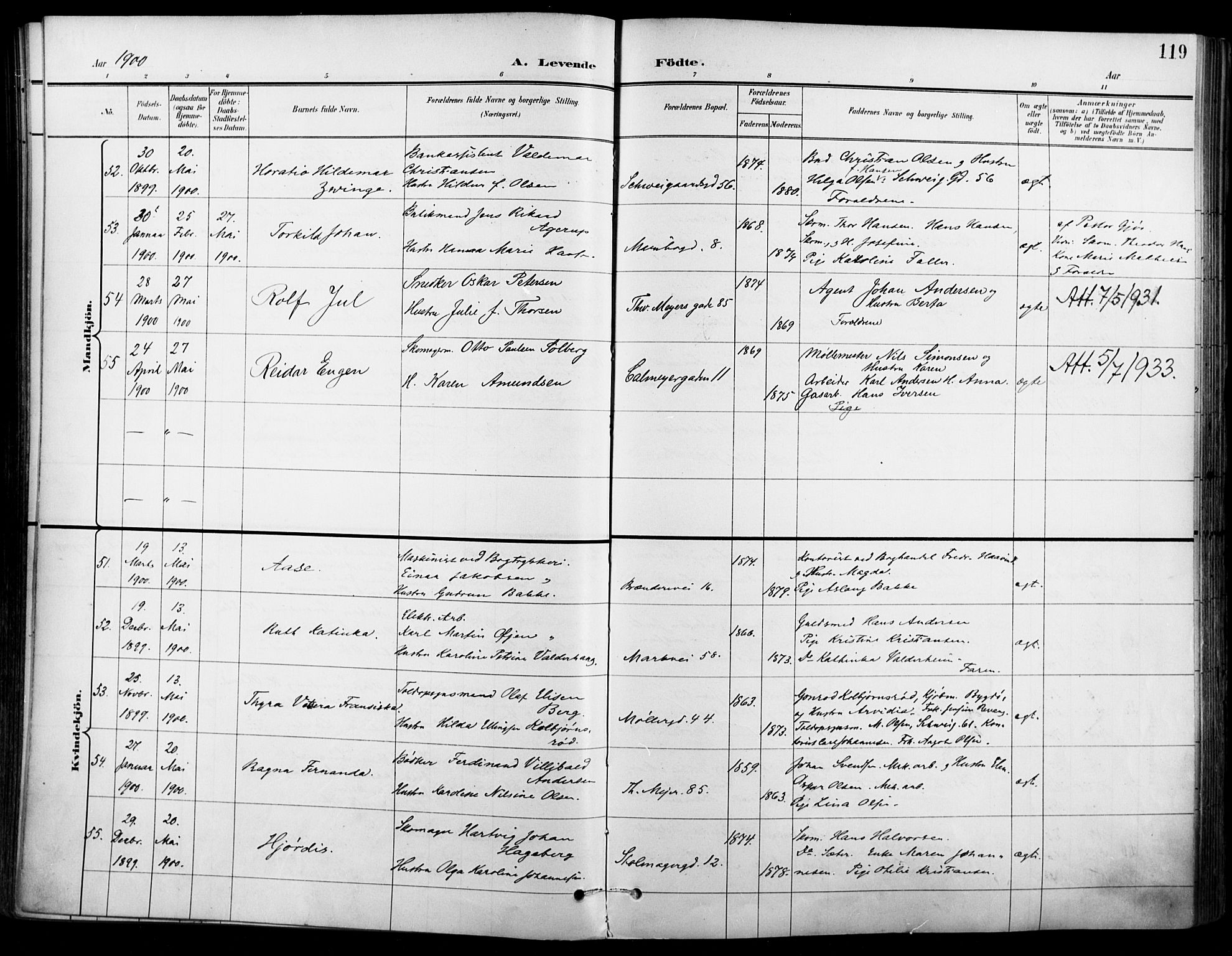 Jakob prestekontor Kirkebøker, SAO/A-10850/F/Fa/L0005: Parish register (official) no. 5, 1896-1903, p. 119