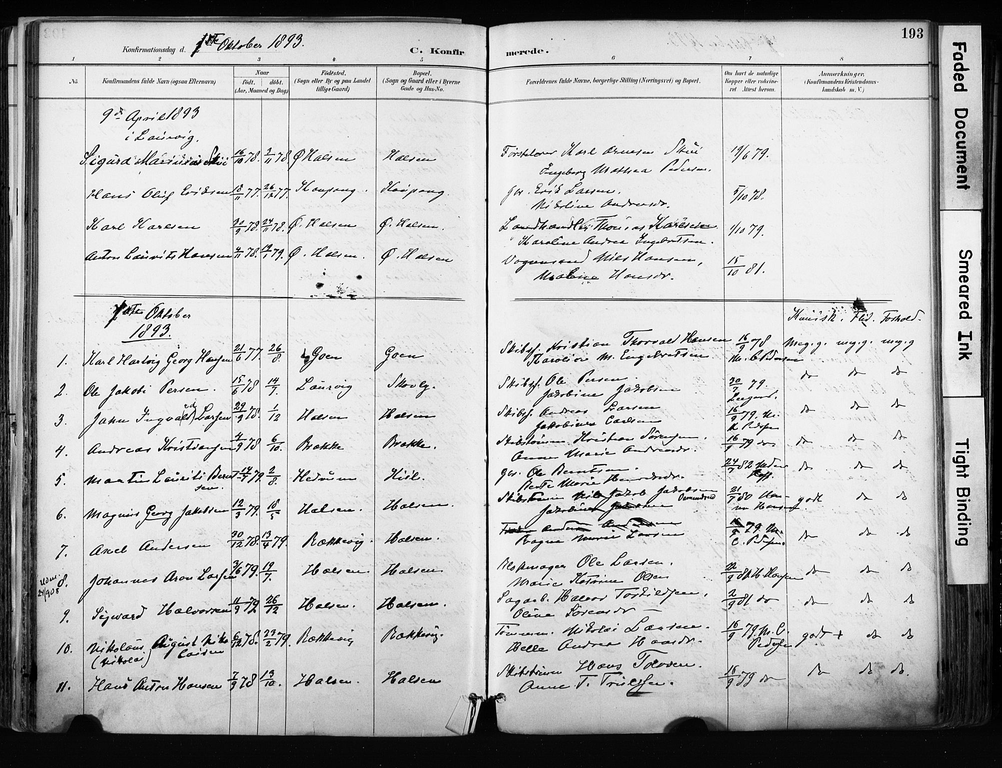 Tjølling kirkebøker, AV/SAKO-A-60/F/Fa/L0009: Parish register (official) no. 9, 1887-1905, p. 193