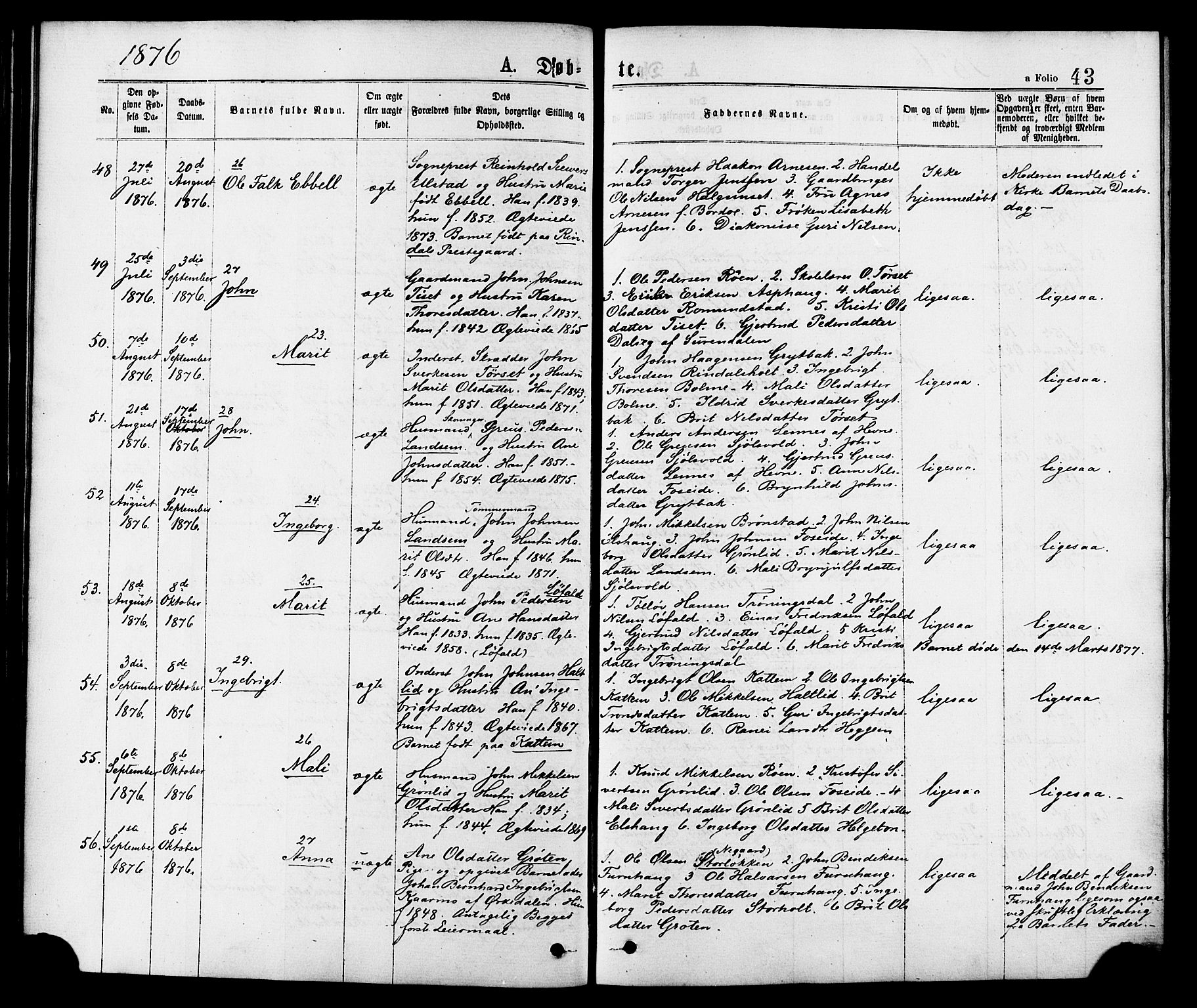 Ministerialprotokoller, klokkerbøker og fødselsregistre - Møre og Romsdal, AV/SAT-A-1454/598/L1068: Parish register (official) no. 598A02, 1872-1881, p. 43