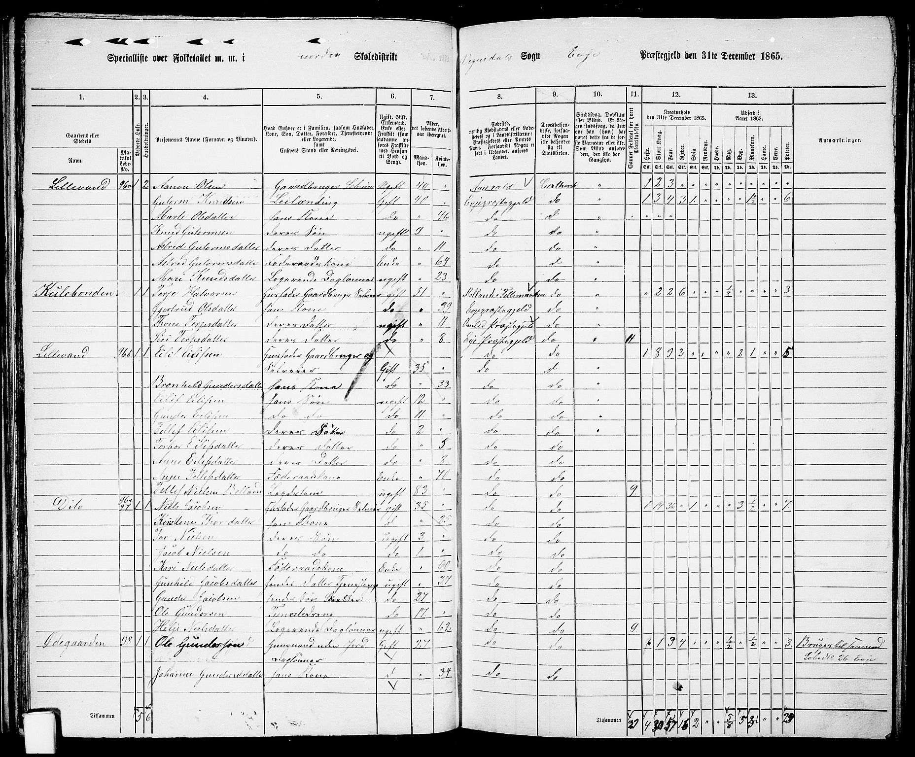 RA, 1865 census for Evje, 1865, p. 44