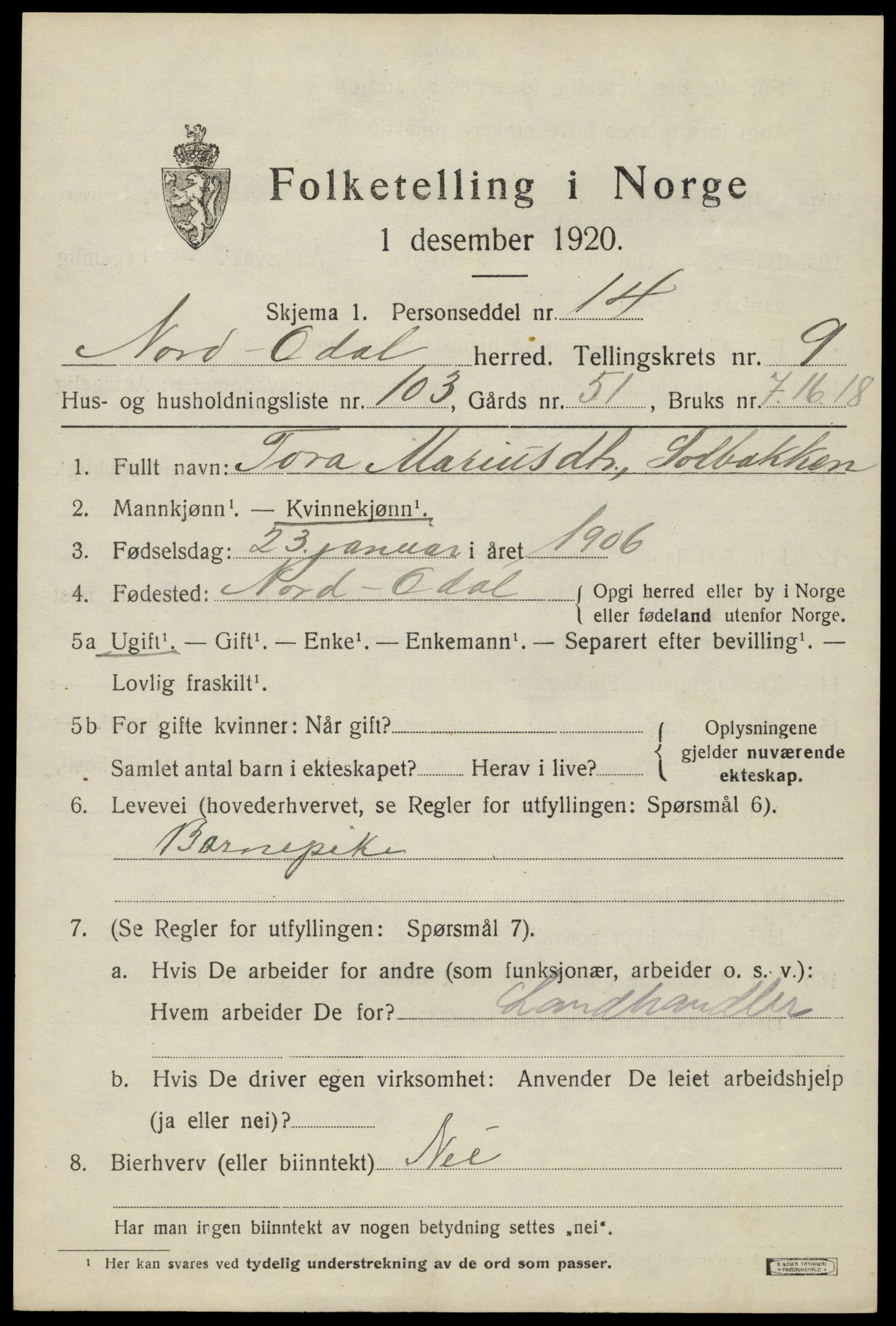 SAH, 1920 census for Nord-Odal, 1920, p. 10849