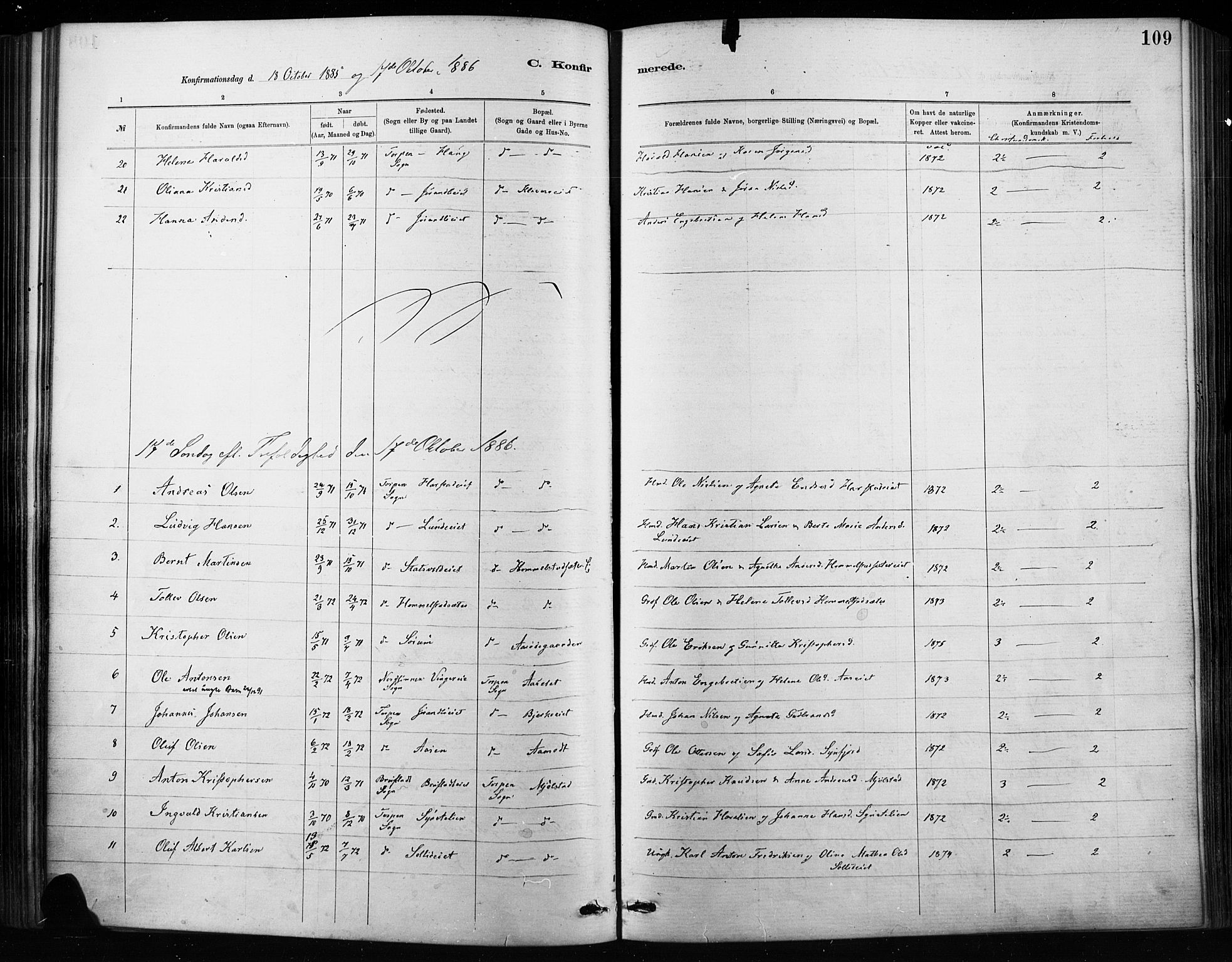 Nordre Land prestekontor, SAH/PREST-124/H/Ha/Haa/L0004: Parish register (official) no. 4, 1882-1896, p. 109