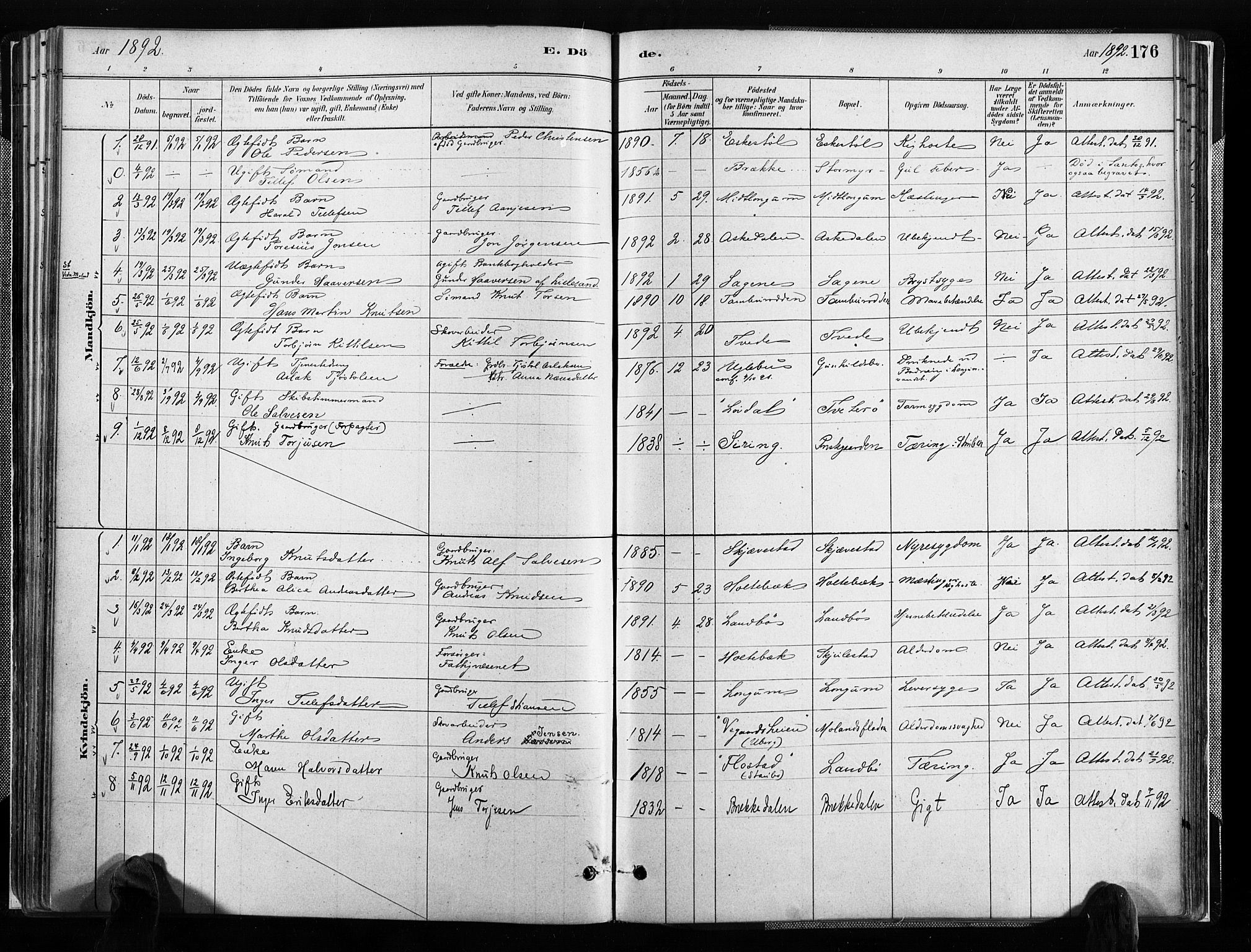 Austre Moland sokneprestkontor, AV/SAK-1111-0001/F/Fa/Faa/L0010: Parish register (official) no. A 10, 1880-1904, p. 176