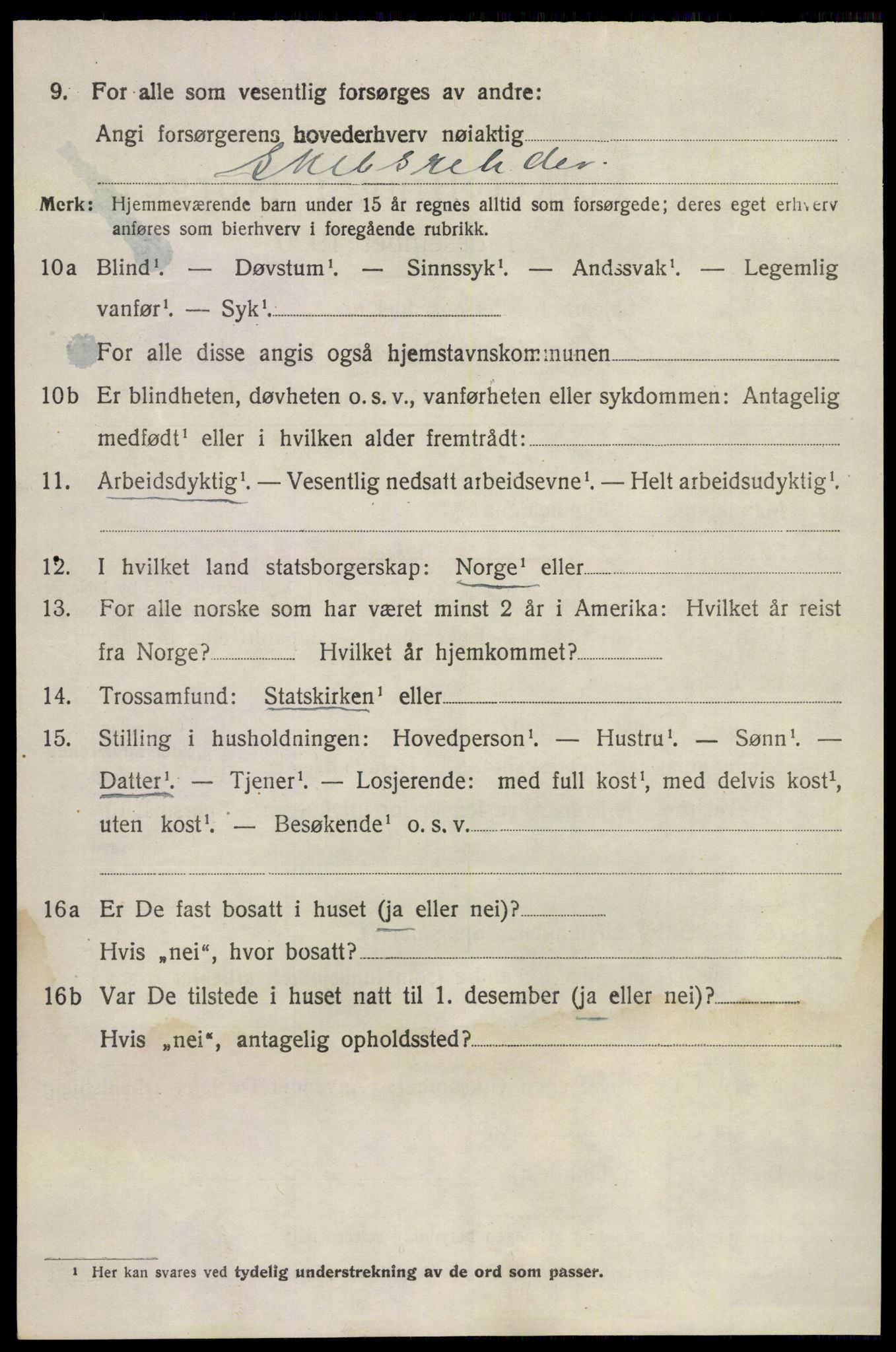 SAKO, 1920 census for Sandeherred, 1920, p. 11911