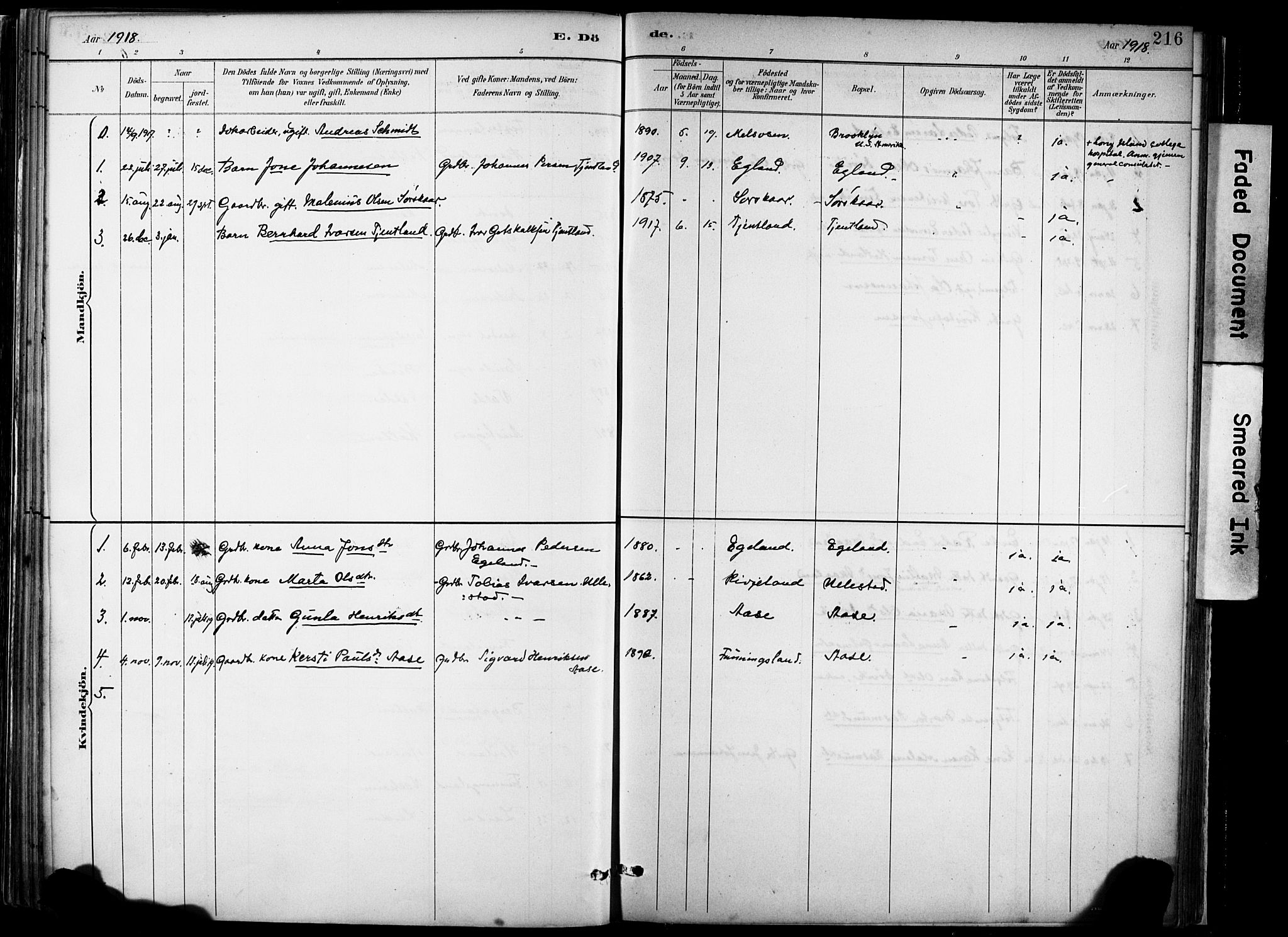 Hjelmeland sokneprestkontor, AV/SAST-A-101843/02/A/L0001: Parish register (official) no. A 16, 1887-1926, p. 216