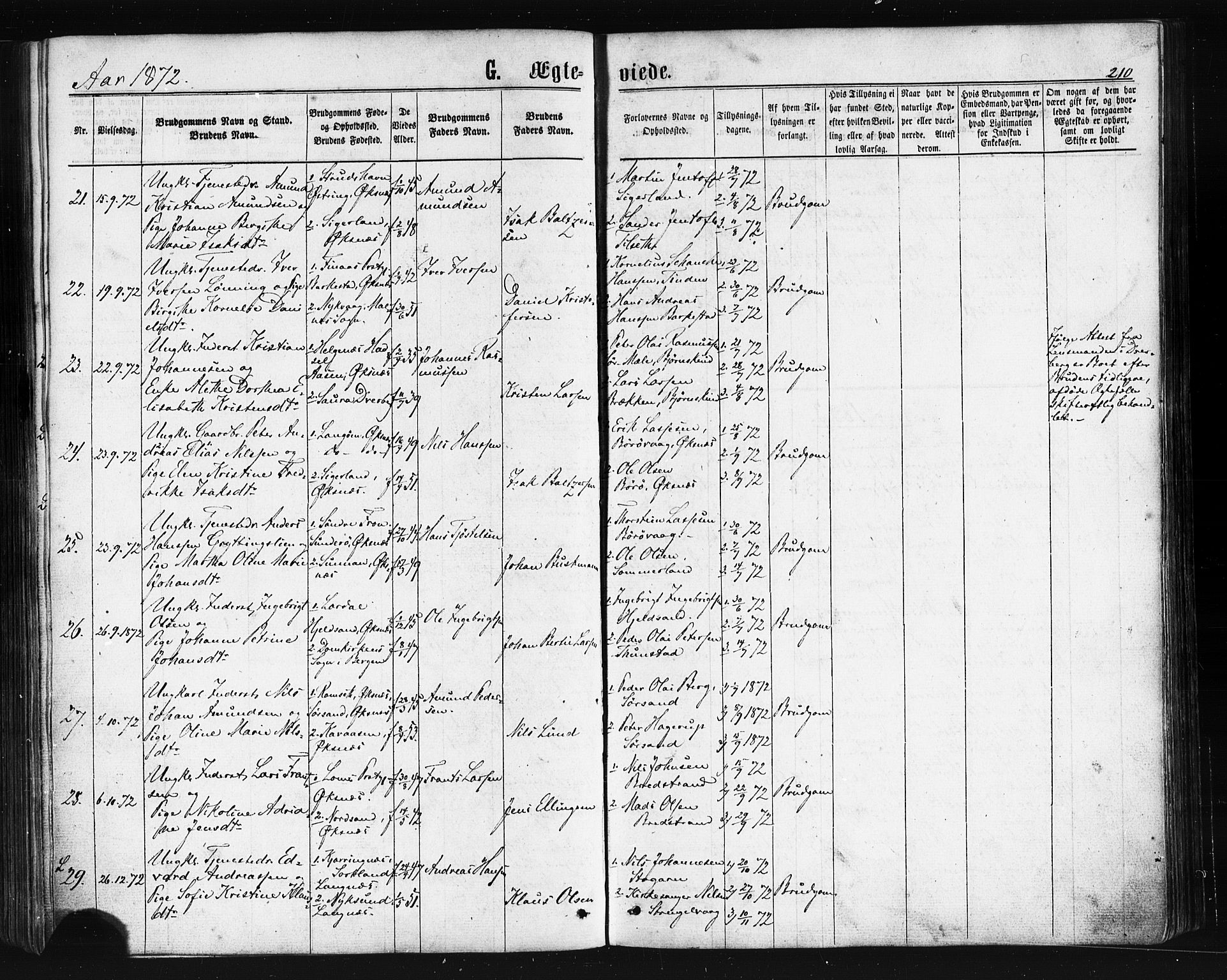 Ministerialprotokoller, klokkerbøker og fødselsregistre - Nordland, AV/SAT-A-1459/893/L1334: Parish register (official) no. 893A07, 1867-1877, p. 210