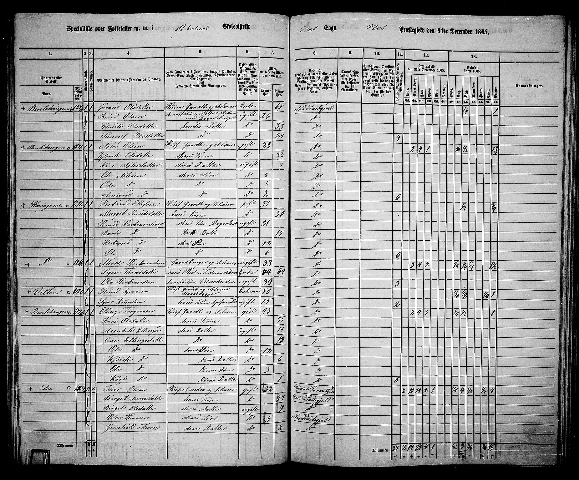 RA, 1865 census for Nes, 1865, p. 108