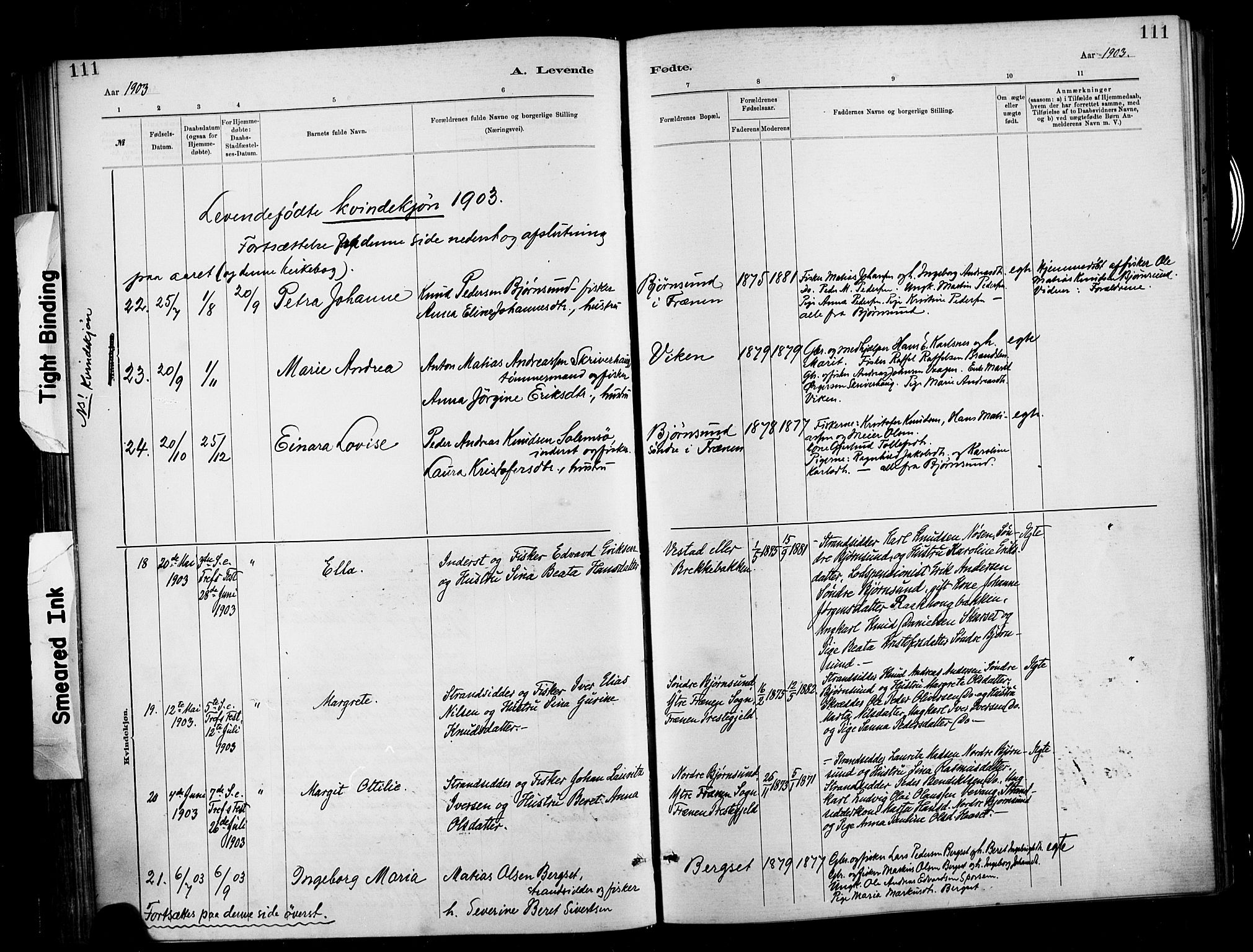 Ministerialprotokoller, klokkerbøker og fødselsregistre - Møre og Romsdal, AV/SAT-A-1454/566/L0769: Parish register (official) no. 566A08, 1881-1903, p. 111