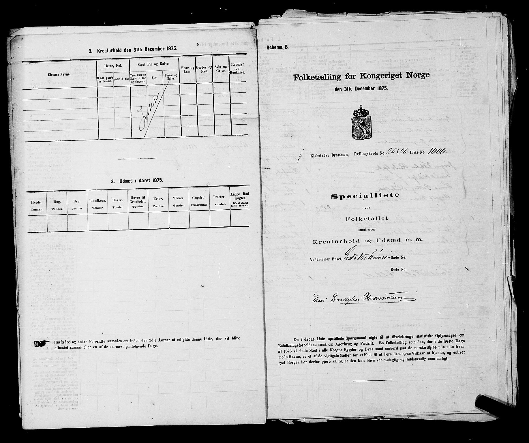 SAKO, 1875 census for 0602 Drammen, 1875, p. 2654