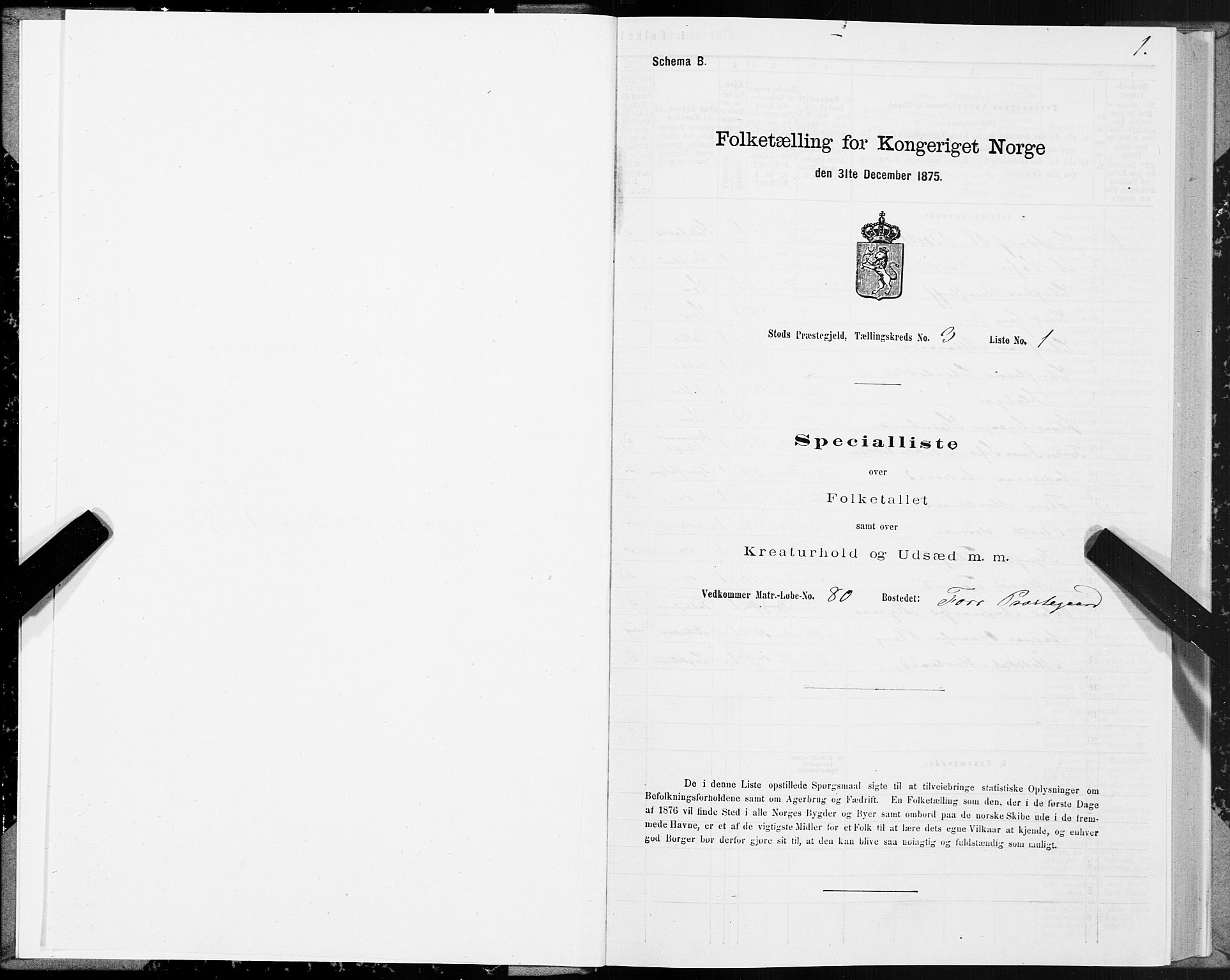 SAT, 1875 census for 1734P Stod, 1875, p. 3001