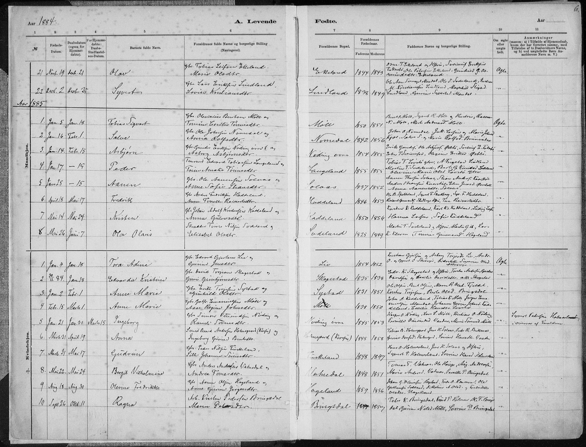 Holum sokneprestkontor, SAK/1111-0022/F/Fa/Faa/L0007: Parish register (official) no. A 7, 1884-1907, p. 6