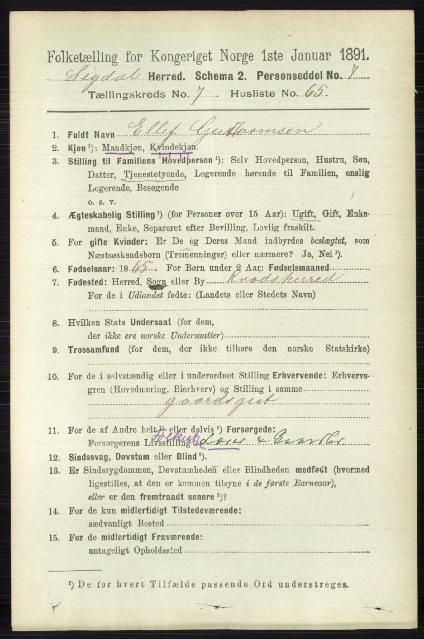 RA, 1891 census for 0621 Sigdal, 1891, p. 3096