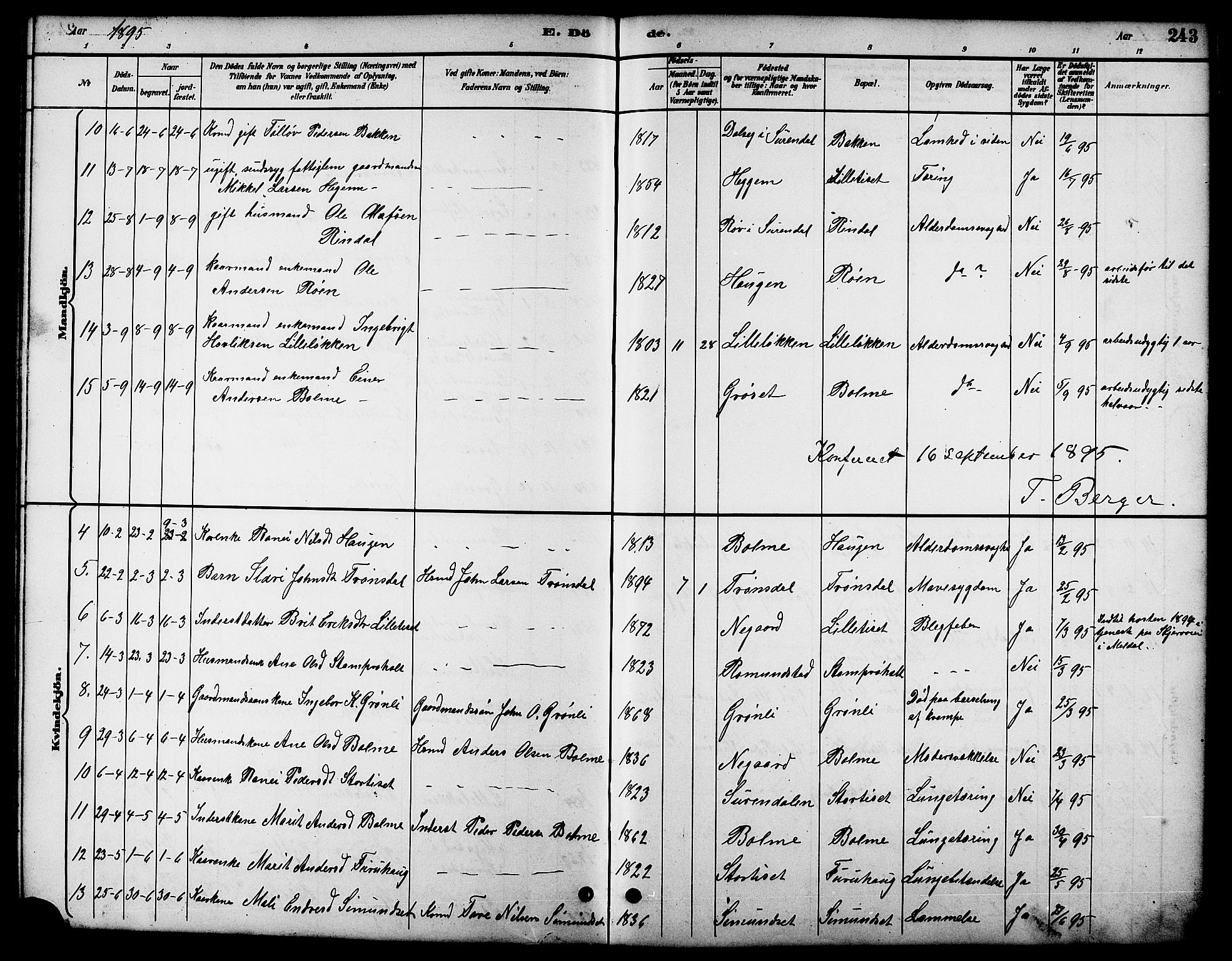 Ministerialprotokoller, klokkerbøker og fødselsregistre - Møre og Romsdal, SAT/A-1454/598/L1078: Parish register (copy) no. 598C03, 1892-1909, p. 243