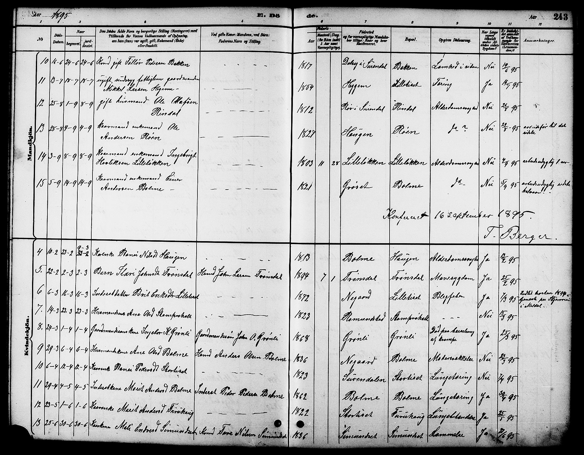 Ministerialprotokoller, klokkerbøker og fødselsregistre - Møre og Romsdal, AV/SAT-A-1454/598/L1078: Parish register (copy) no. 598C03, 1892-1909, p. 243