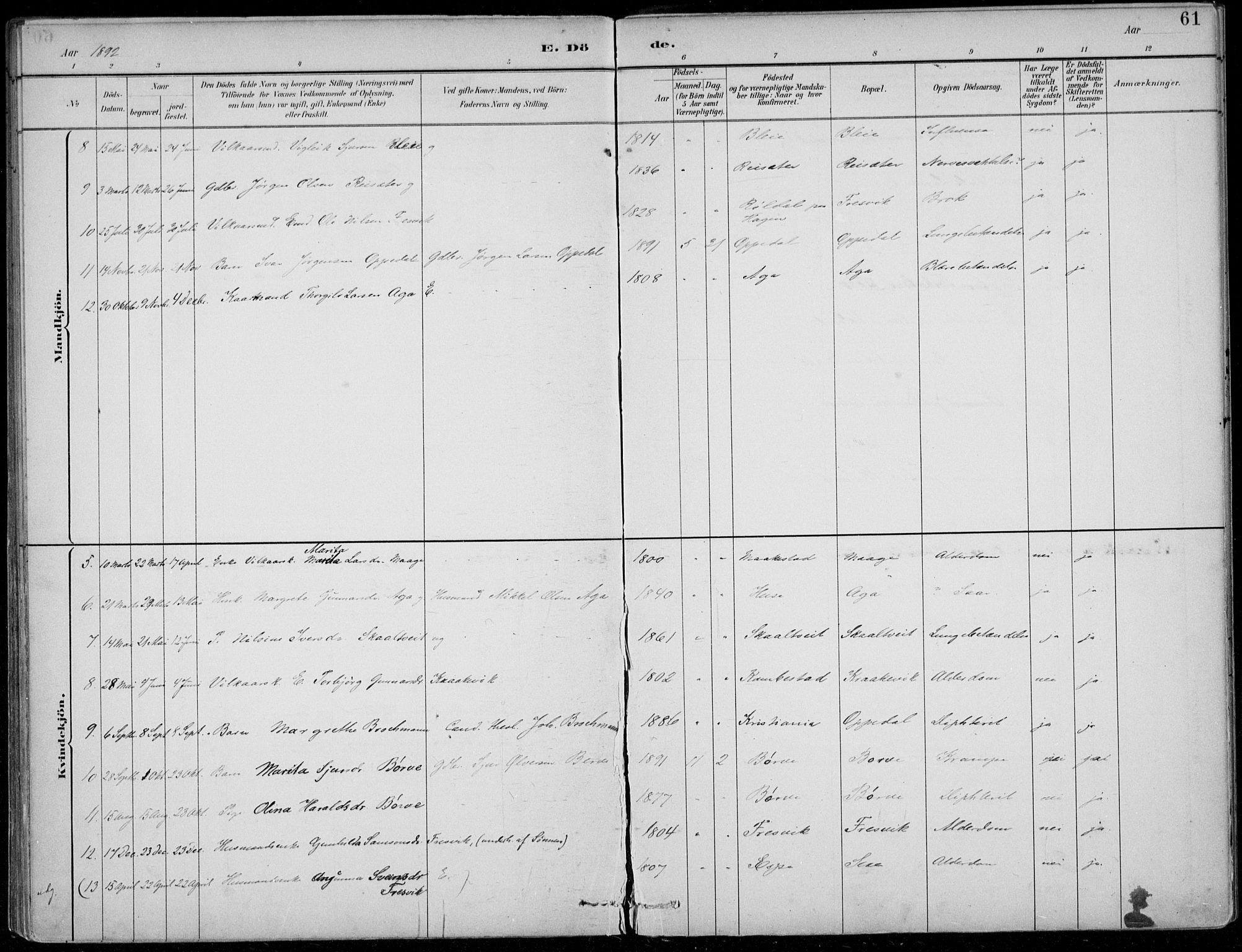 Ullensvang sokneprestembete, AV/SAB-A-78701/H/Haa: Parish register (official) no. B  3, 1882-1911, p. 61