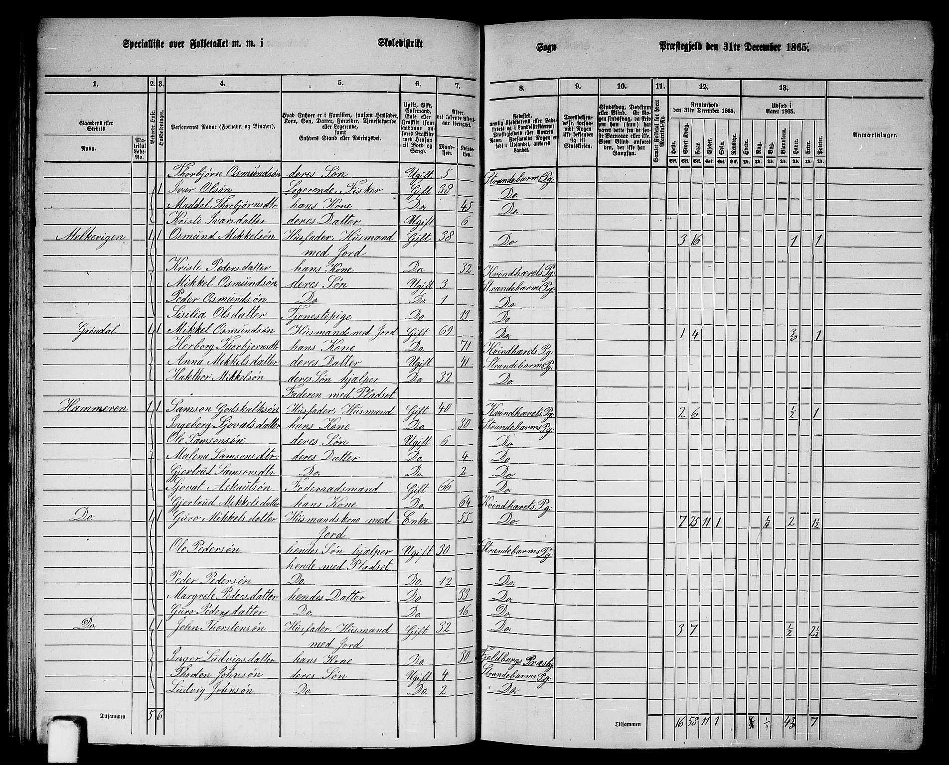 RA, 1865 census for Strandebarm, 1865, p. 65