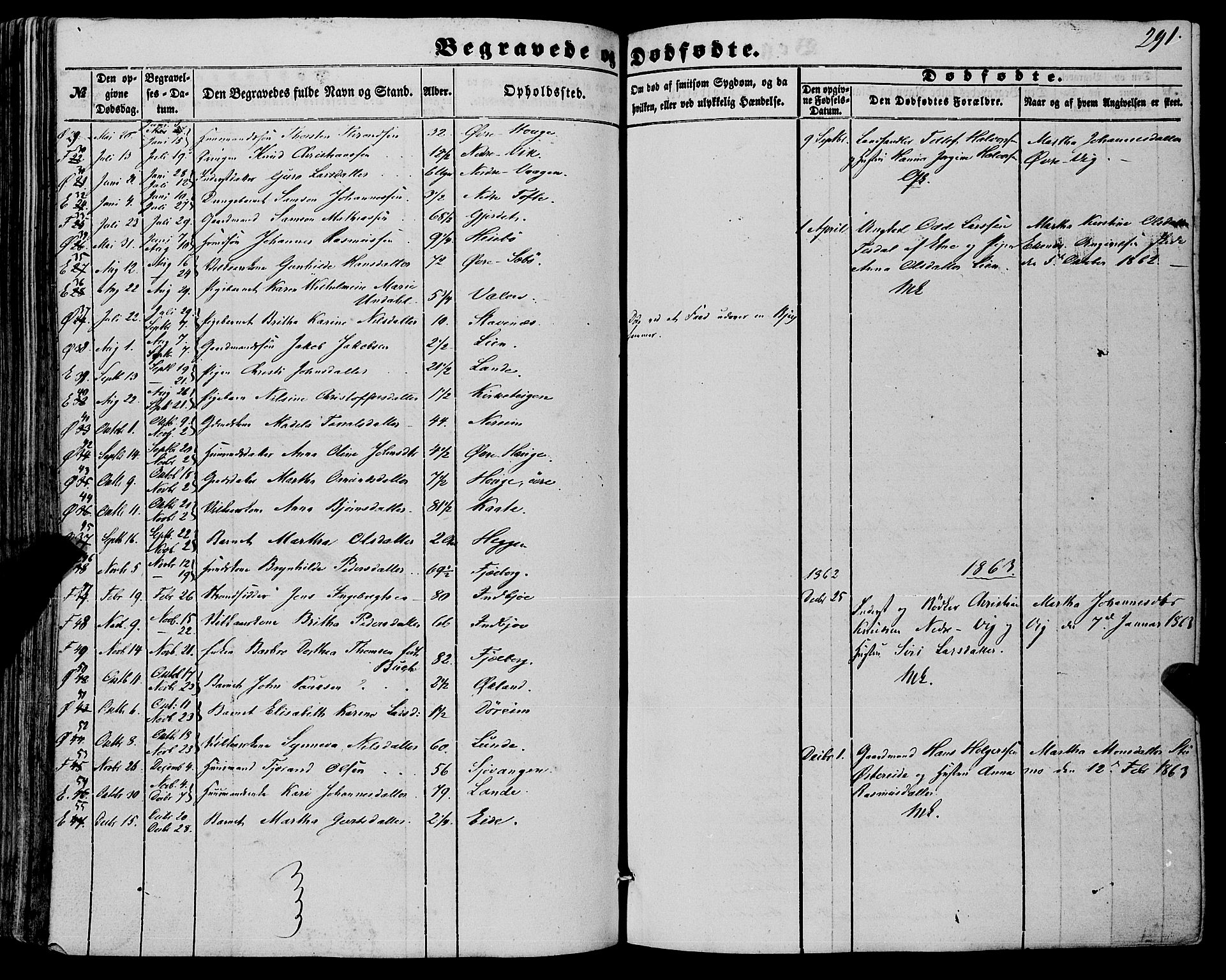 Fjelberg sokneprestembete, SAB/A-75201/H/Haa: Parish register (official) no. A 7, 1851-1867, p. 291