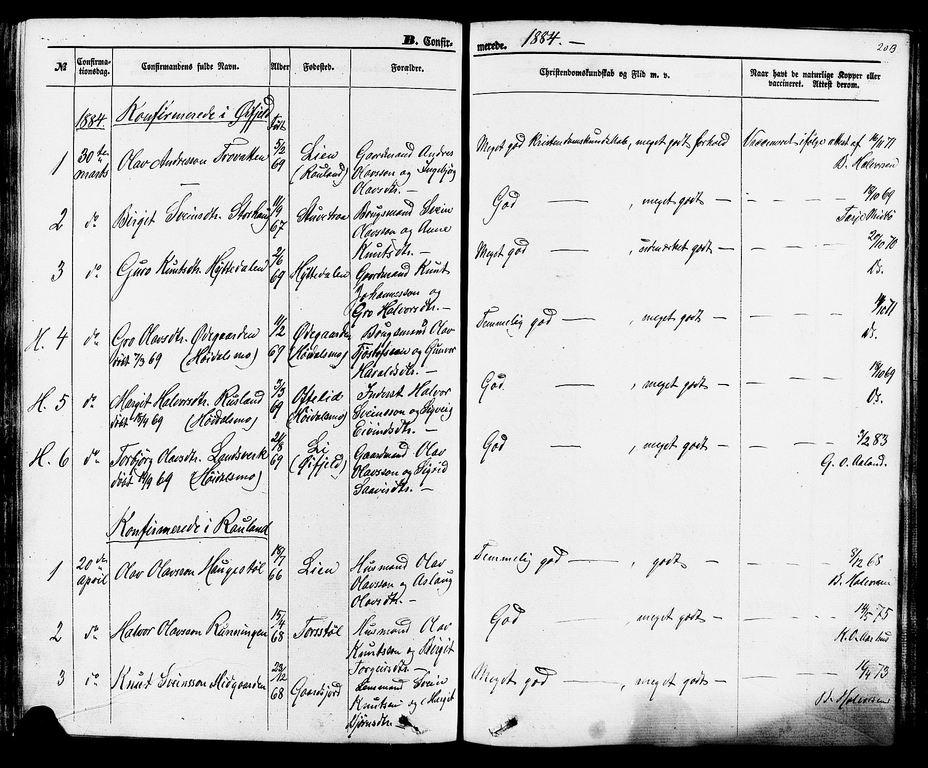 Rauland kirkebøker, SAKO/A-292/F/Fa/L0003: Parish register (official) no. 3, 1859-1886, p. 203