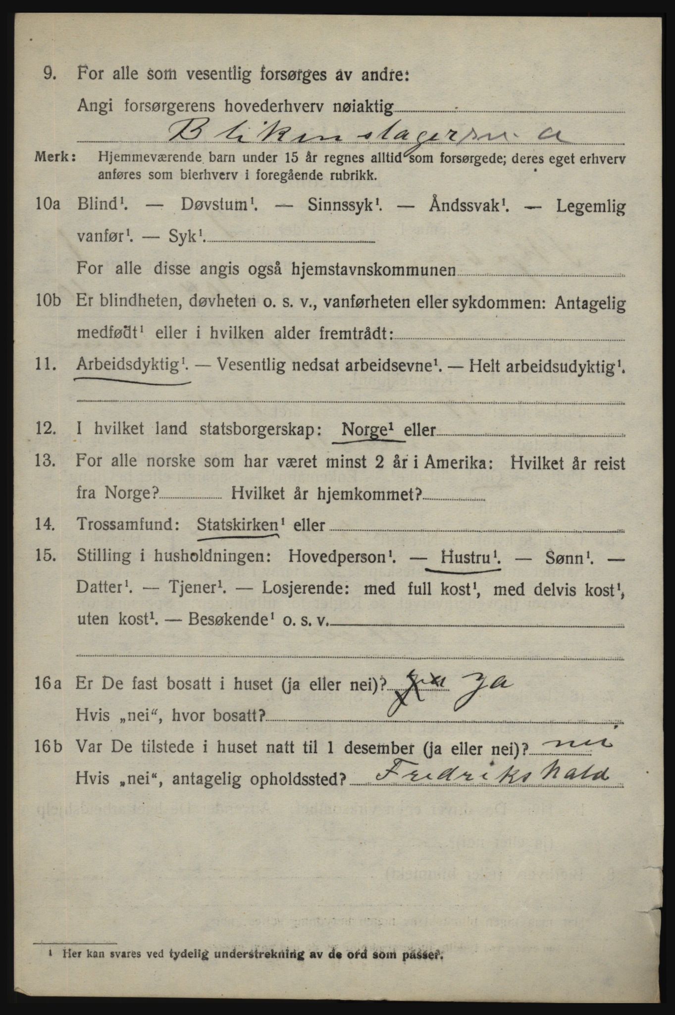 SAO, 1920 census for Skjeberg, 1920, p. 6616