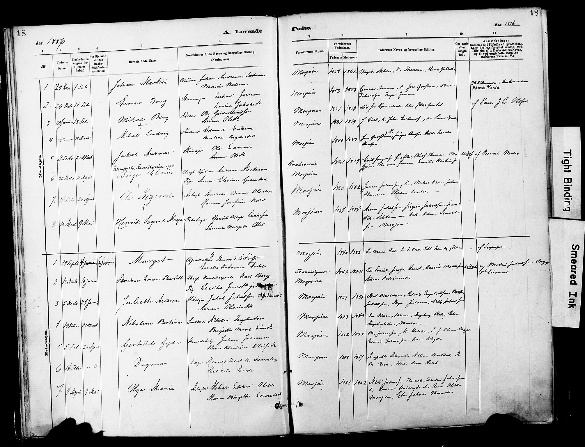 Ministerialprotokoller, klokkerbøker og fødselsregistre - Nordland, SAT/A-1459/820/L0296: Parish register (official) no. 820A17, 1880-1903, p. 18