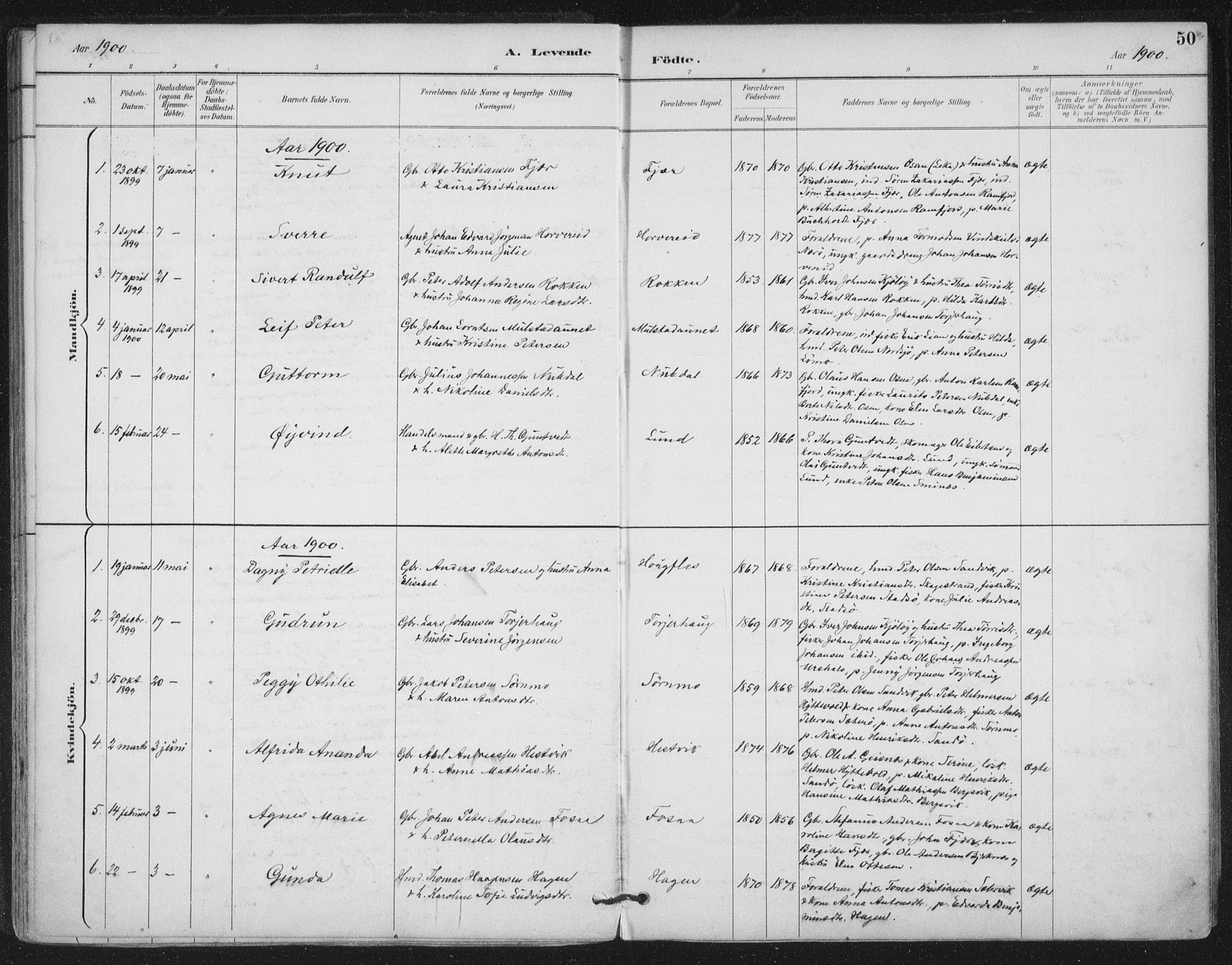 Ministerialprotokoller, klokkerbøker og fødselsregistre - Nord-Trøndelag, SAT/A-1458/780/L0644: Parish register (official) no. 780A08, 1886-1903, p. 50