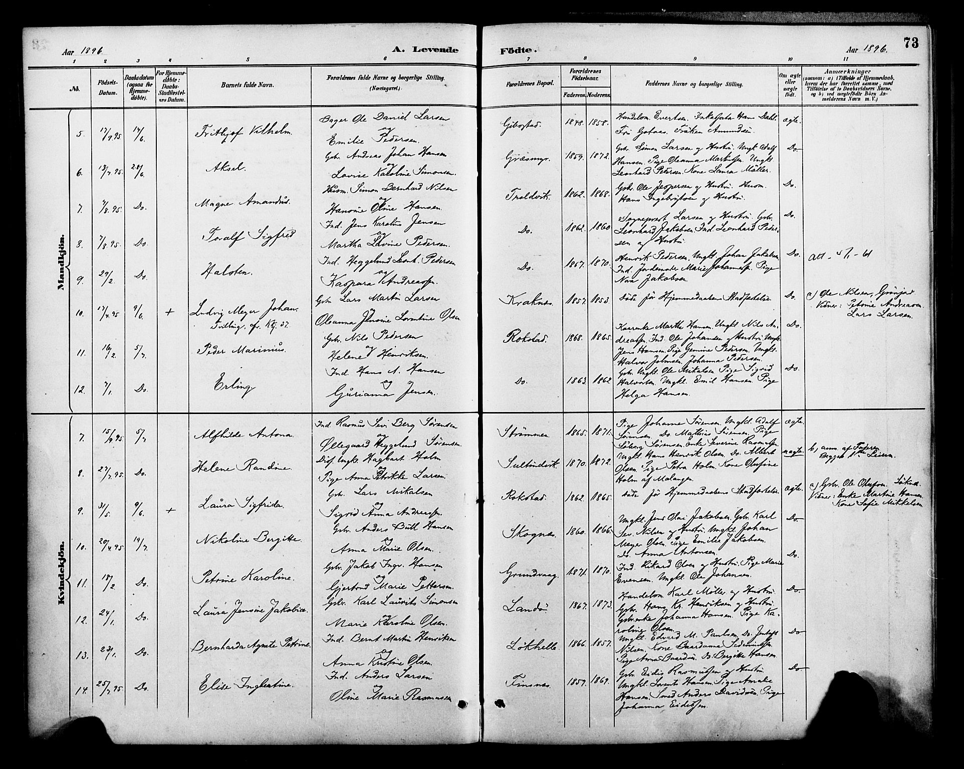 Lenvik sokneprestembete, SATØ/S-1310/H/Ha/Haa/L0013kirke: Parish register (official) no. 13, 1890-1898, p. 73