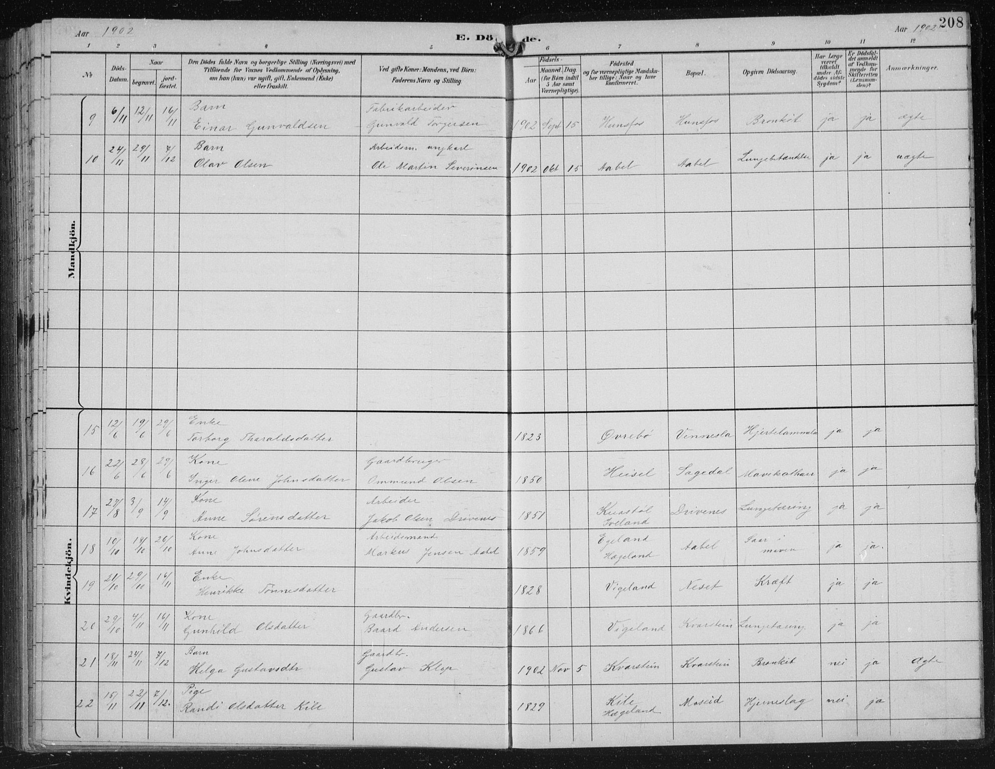 Vennesla sokneprestkontor, AV/SAK-1111-0045/Fb/Fbb/L0004: Parish register (copy) no. B 4, 1893-1902, p. 208