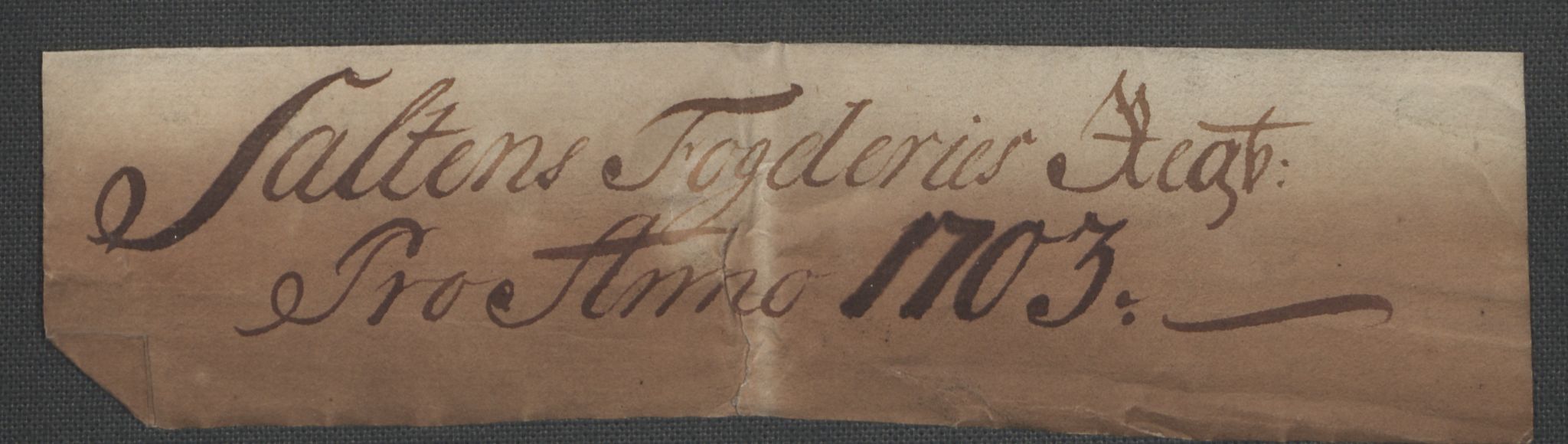 Rentekammeret inntil 1814, Reviderte regnskaper, Fogderegnskap, AV/RA-EA-4092/R66/L4580: Fogderegnskap Salten, 1701-1706, p. 154