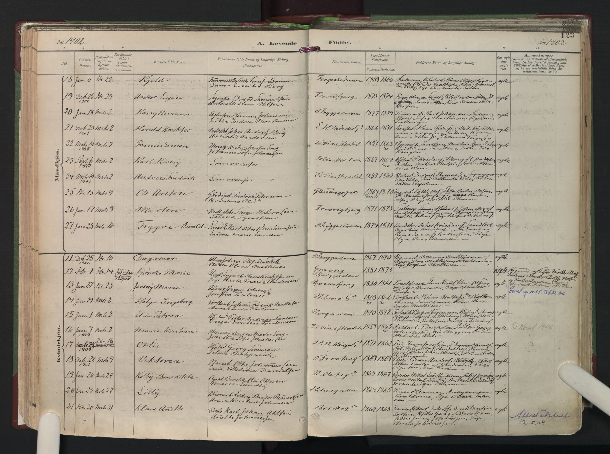 Fredrikstad domkirkes prestekontor Kirkebøker, AV/SAO-A-10906/F/Fa/L0006: Parish register (official) no. I 6, 1894-1914, p. 123