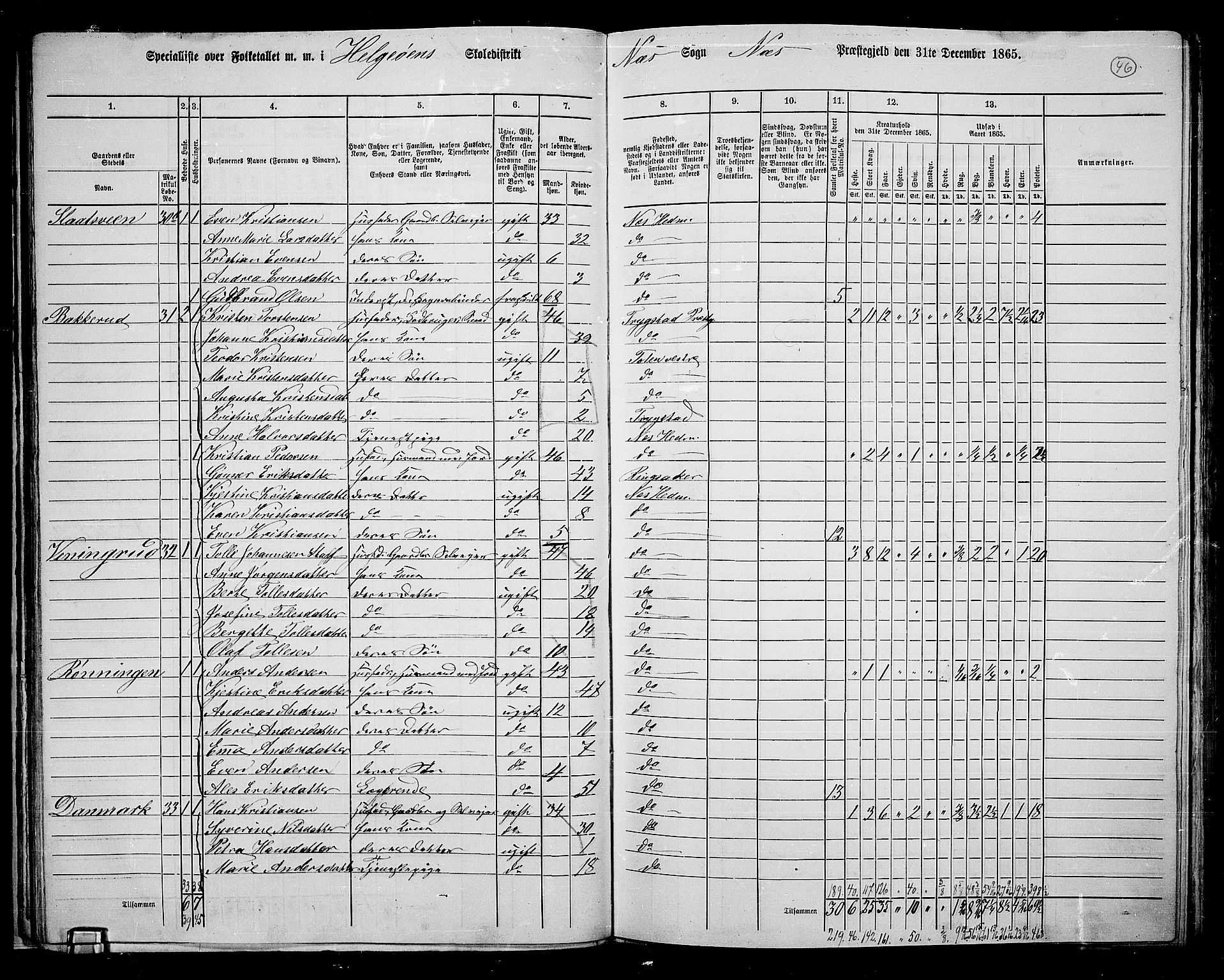 RA, 1865 census for Nes, 1865, p. 39