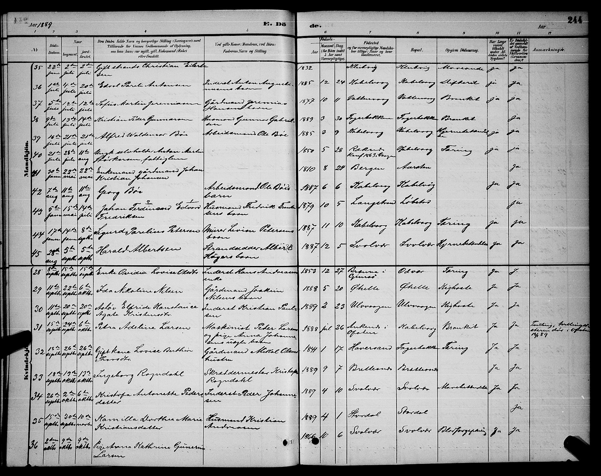 Ministerialprotokoller, klokkerbøker og fødselsregistre - Nordland, AV/SAT-A-1459/874/L1076: Parish register (copy) no. 874C05, 1884-1890, p. 244