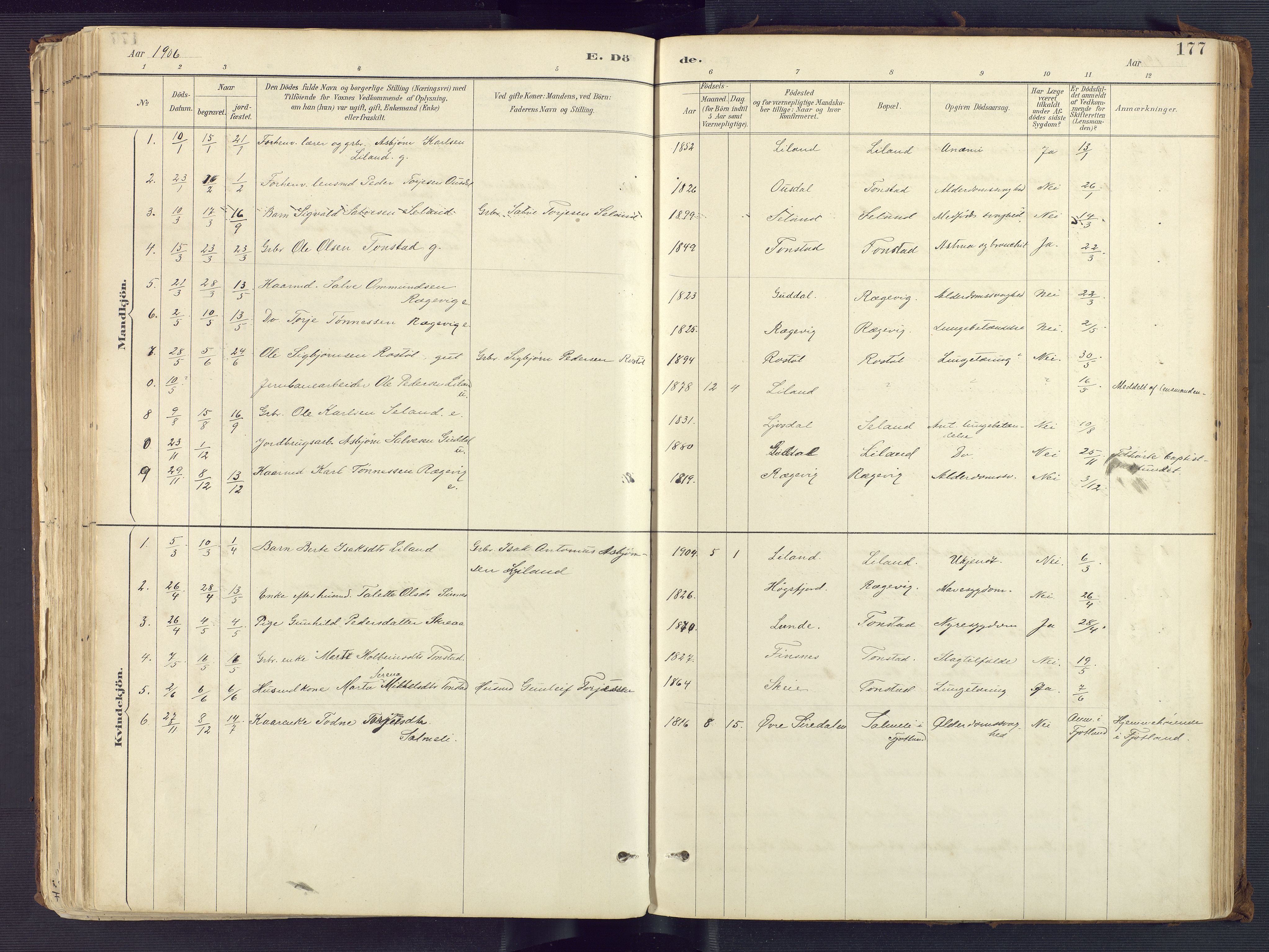 Sirdal sokneprestkontor, AV/SAK-1111-0036/F/Fa/Fab/L0004: Parish register (official) no. A 4, 1887-1919, p. 177