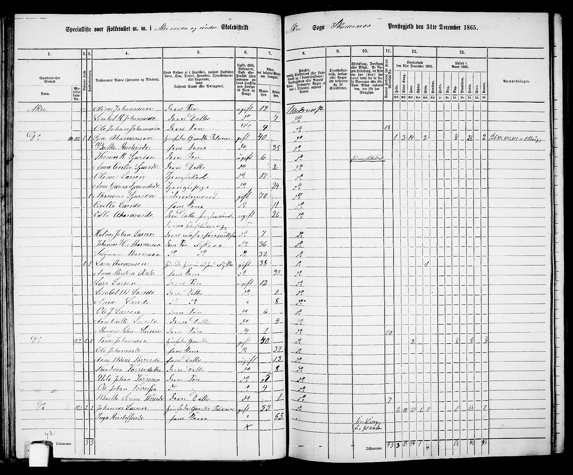 RA, 1865 census for Skudenes, 1865, p. 60