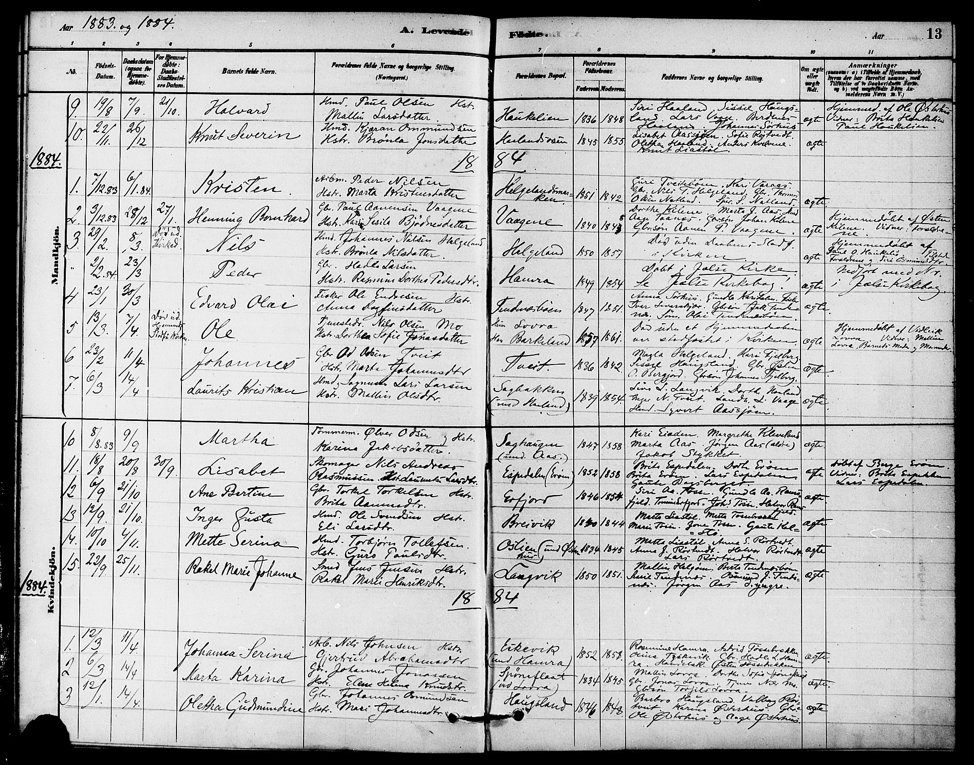 Jelsa sokneprestkontor, SAST/A-101842/01/IV: Parish register (official) no. A 9, 1878-1898, p. 13