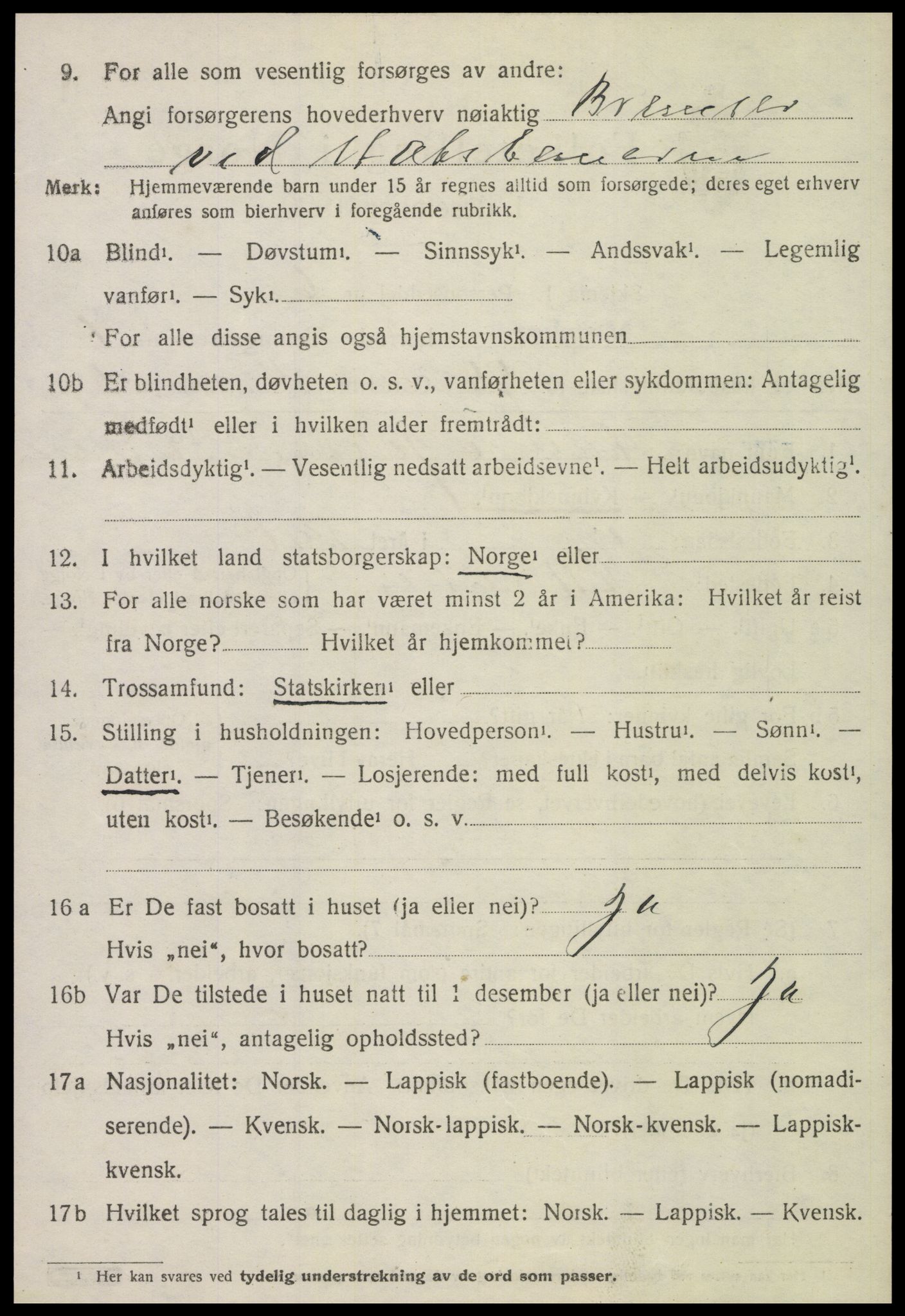 SAT, 1920 census for Meråker, 1920, p. 1729