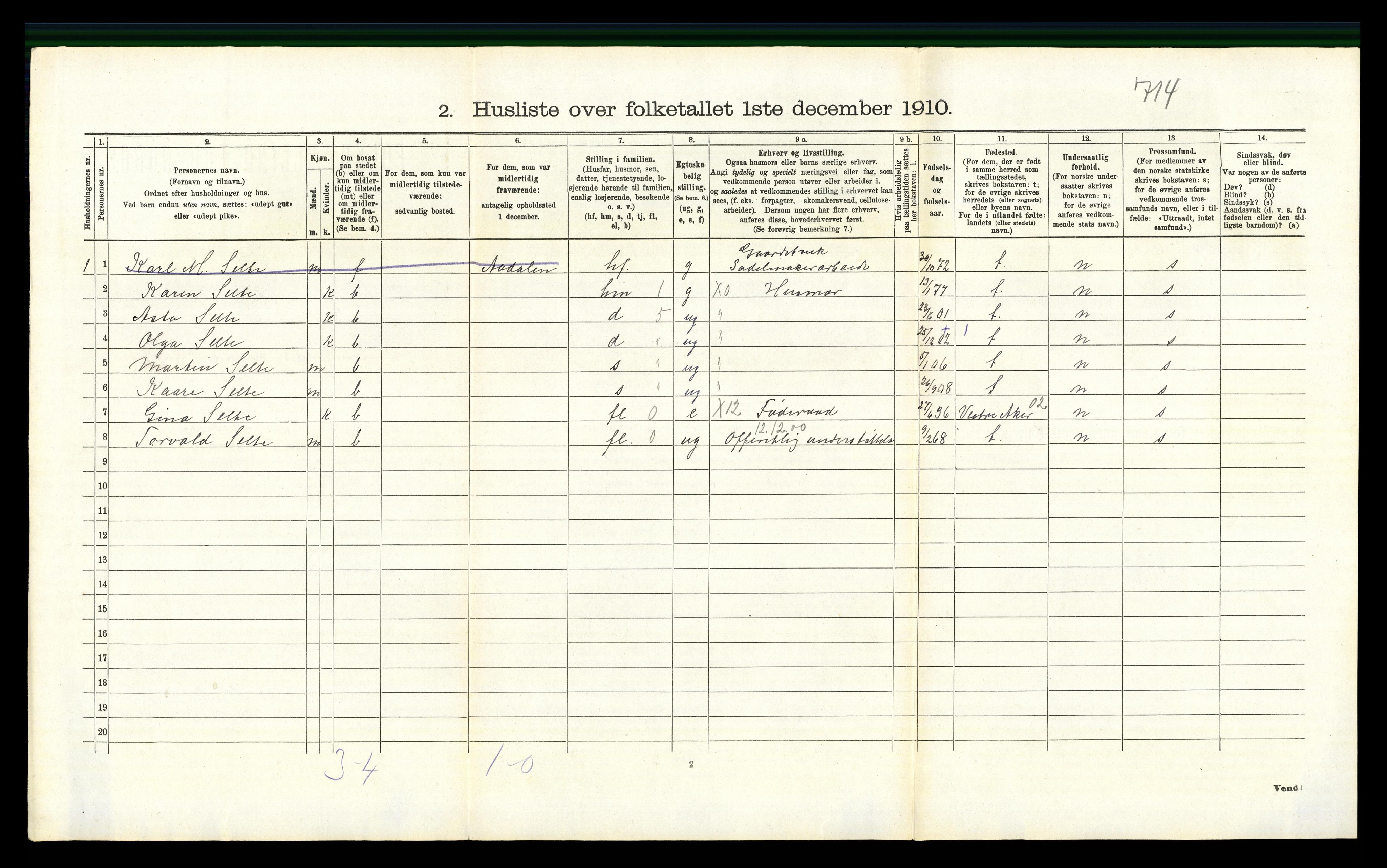 RA, 1910 census for Hole, 1910, p. 203