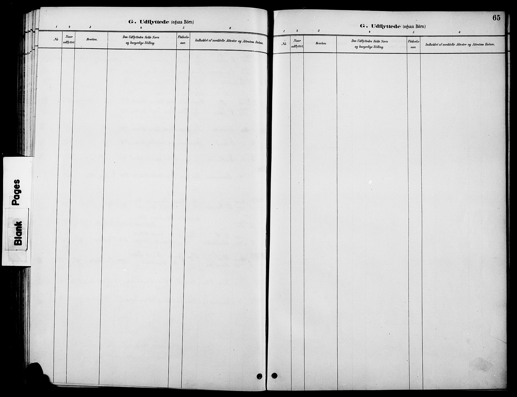 Øystre Slidre prestekontor, AV/SAH-PREST-138/H/Ha/Hab/L0006: Parish register (copy) no. 6, 1887-1916, p. 65