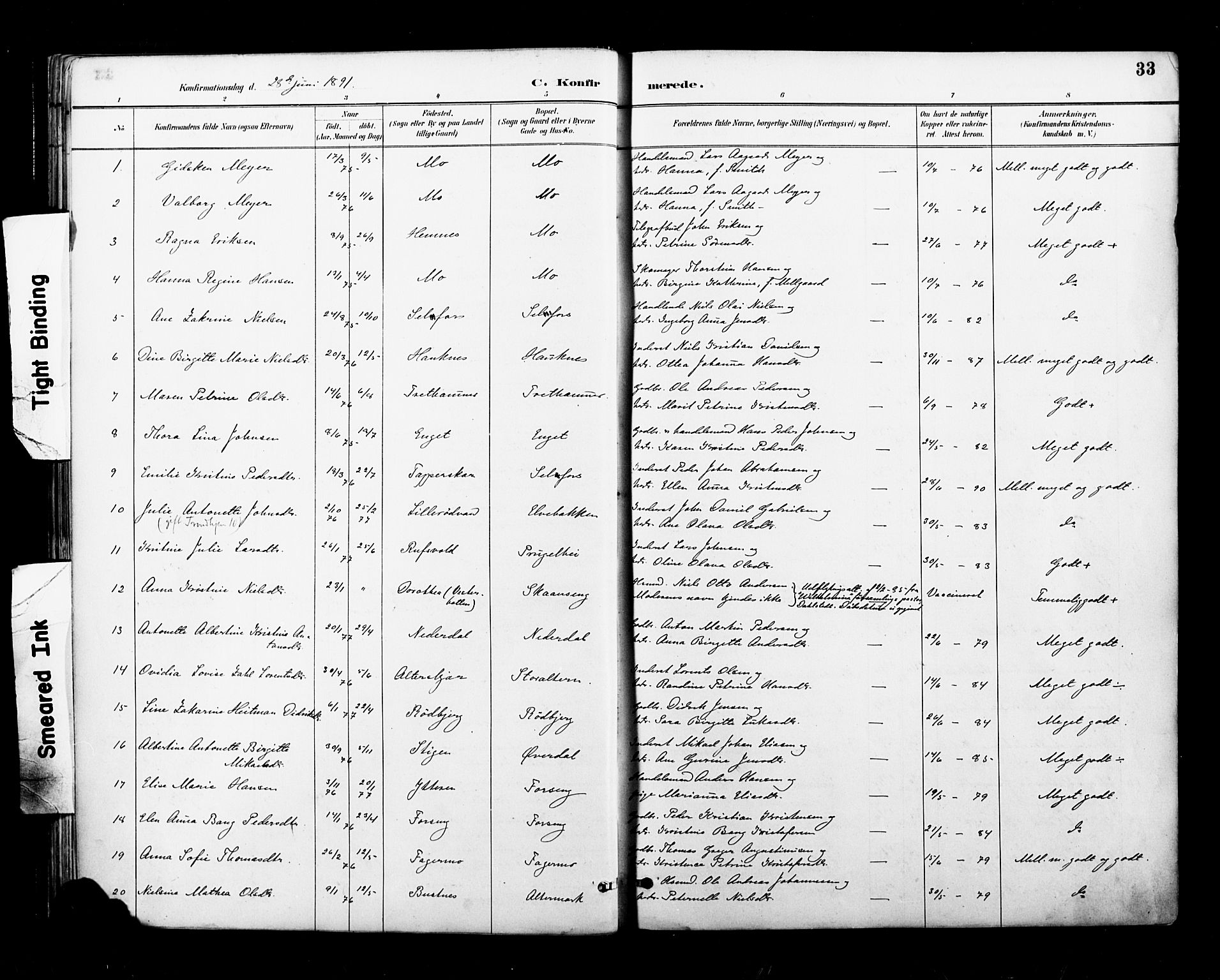 Ministerialprotokoller, klokkerbøker og fødselsregistre - Nordland, AV/SAT-A-1459/827/L0401: Parish register (official) no. 827A13, 1887-1905, p. 33