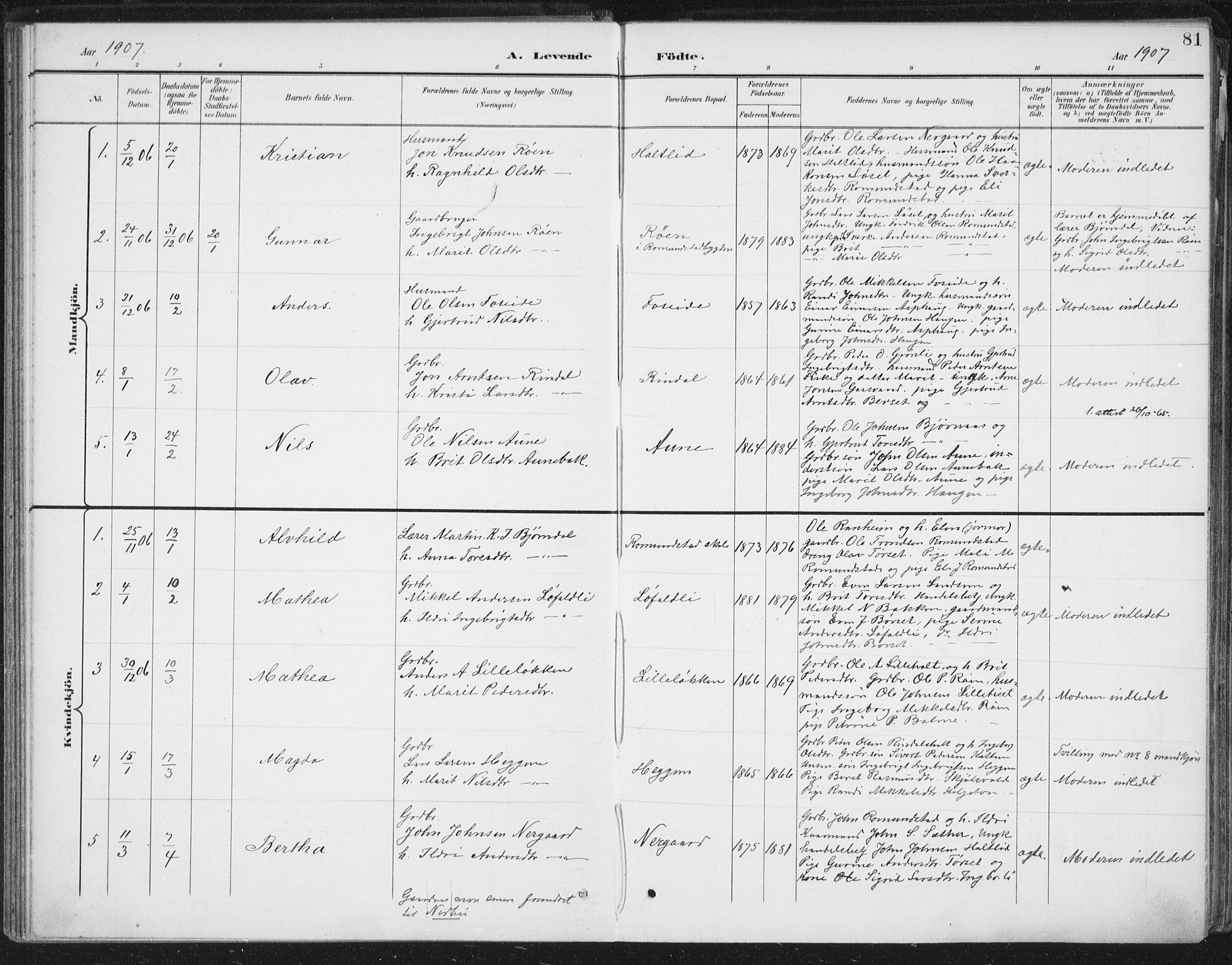 Ministerialprotokoller, klokkerbøker og fødselsregistre - Møre og Romsdal, AV/SAT-A-1454/598/L1072: Parish register (official) no. 598A06, 1896-1910, p. 81