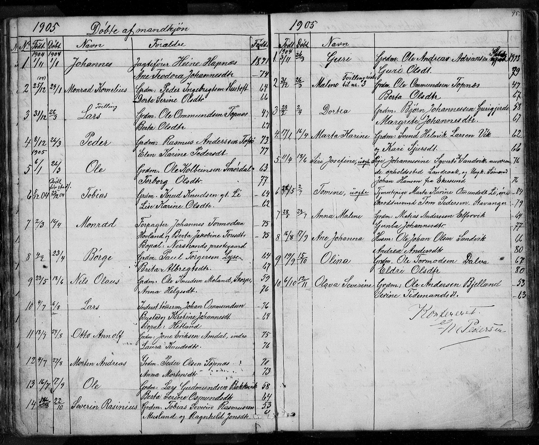 Nedstrand sokneprestkontor, SAST/A-101841/01/V: Parish register (copy) no. B 3, 1848-1933, p. 95
