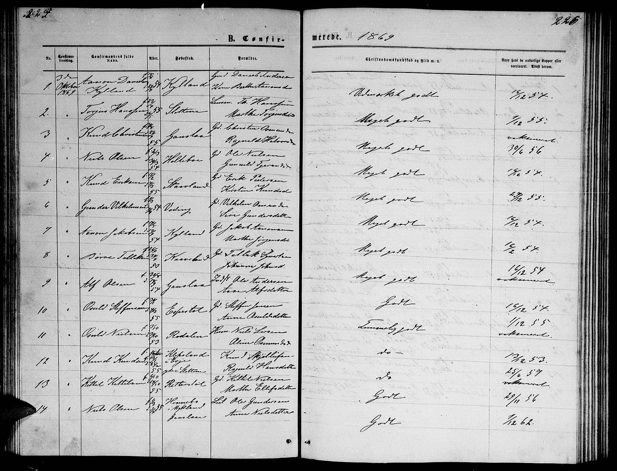 Herefoss sokneprestkontor, SAK/1111-0019/F/Fb/Fba/L0002: Parish register (copy) no. B 2, 1868-1886, p. 225-226