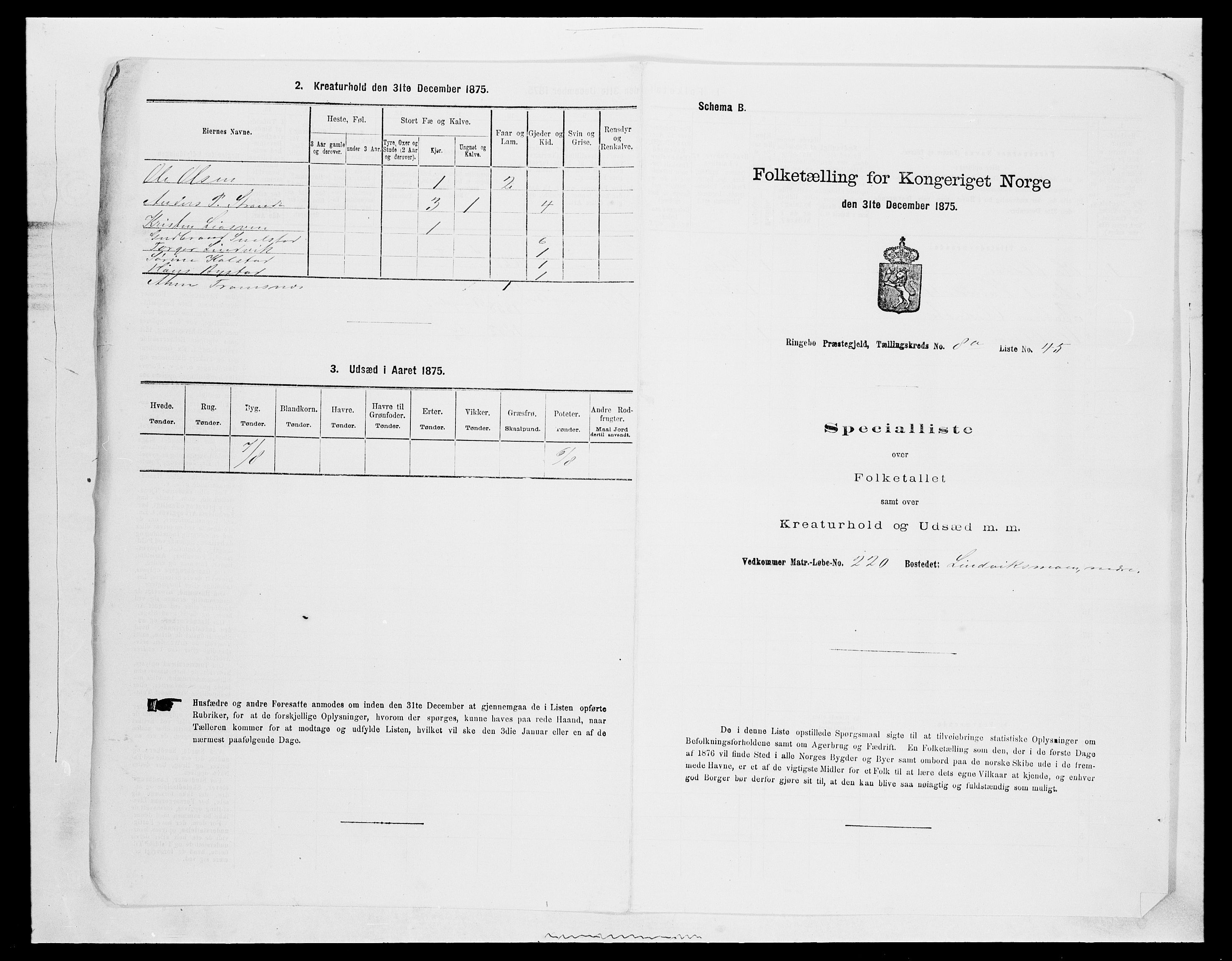 SAH, 1875 census for 0520P Ringebu, 1875, p. 1269