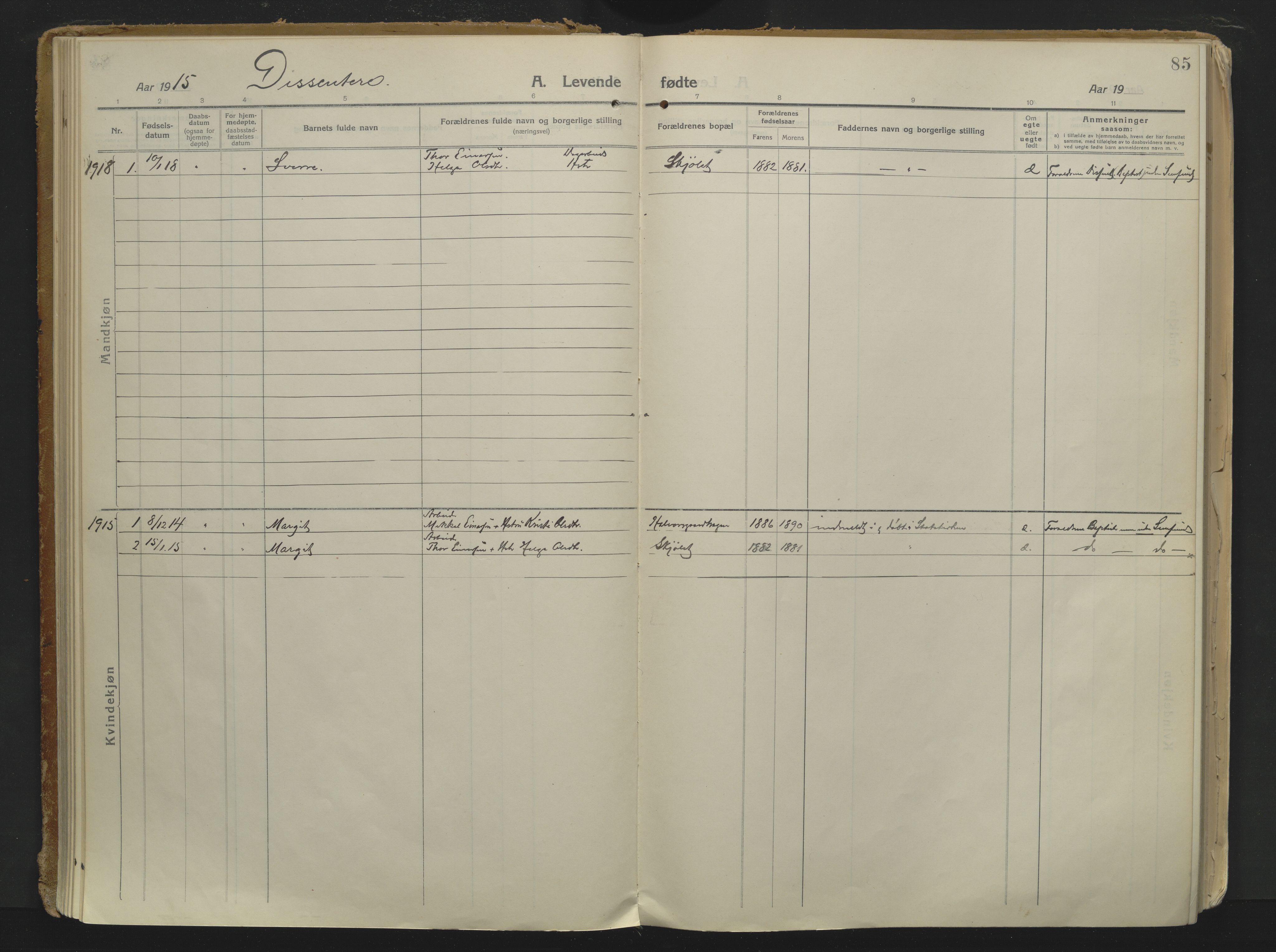 Ål kirkebøker, AV/SAKO-A-249/F/Fa/L0010: Parish register (official) no. I 10, 1915-1934, p. 85