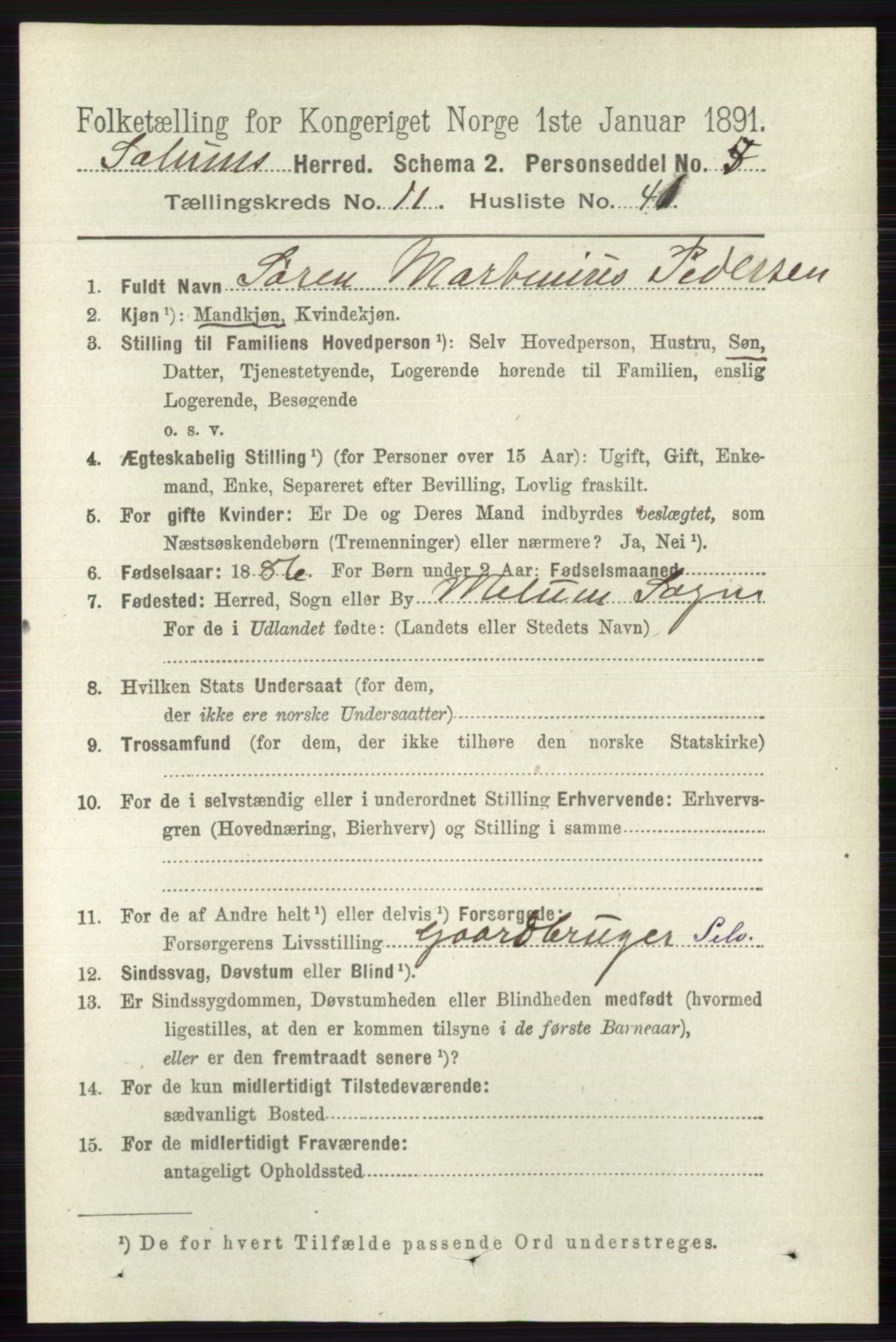 RA, 1891 census for 0818 Solum, 1891, p. 5522