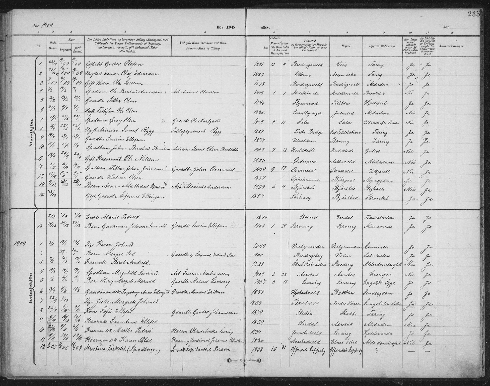 Ministerialprotokoller, klokkerbøker og fødselsregistre - Nord-Trøndelag, SAT/A-1458/724/L0269: Parish register (copy) no. 724C05, 1899-1920, p. 235