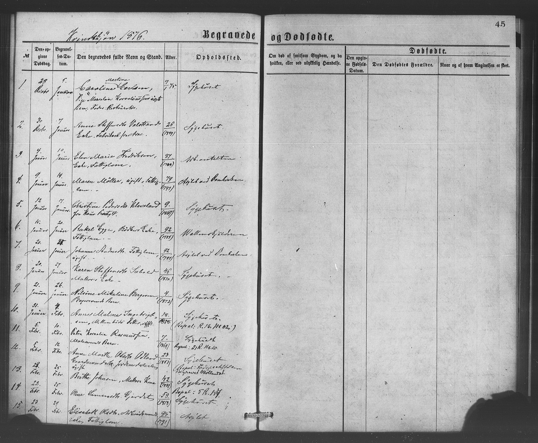 Bergen kommunale pleiehjem - stiftelsespresten, SAB/A-100281: Parish register (official) no. A 1, 1874-1886, p. 45