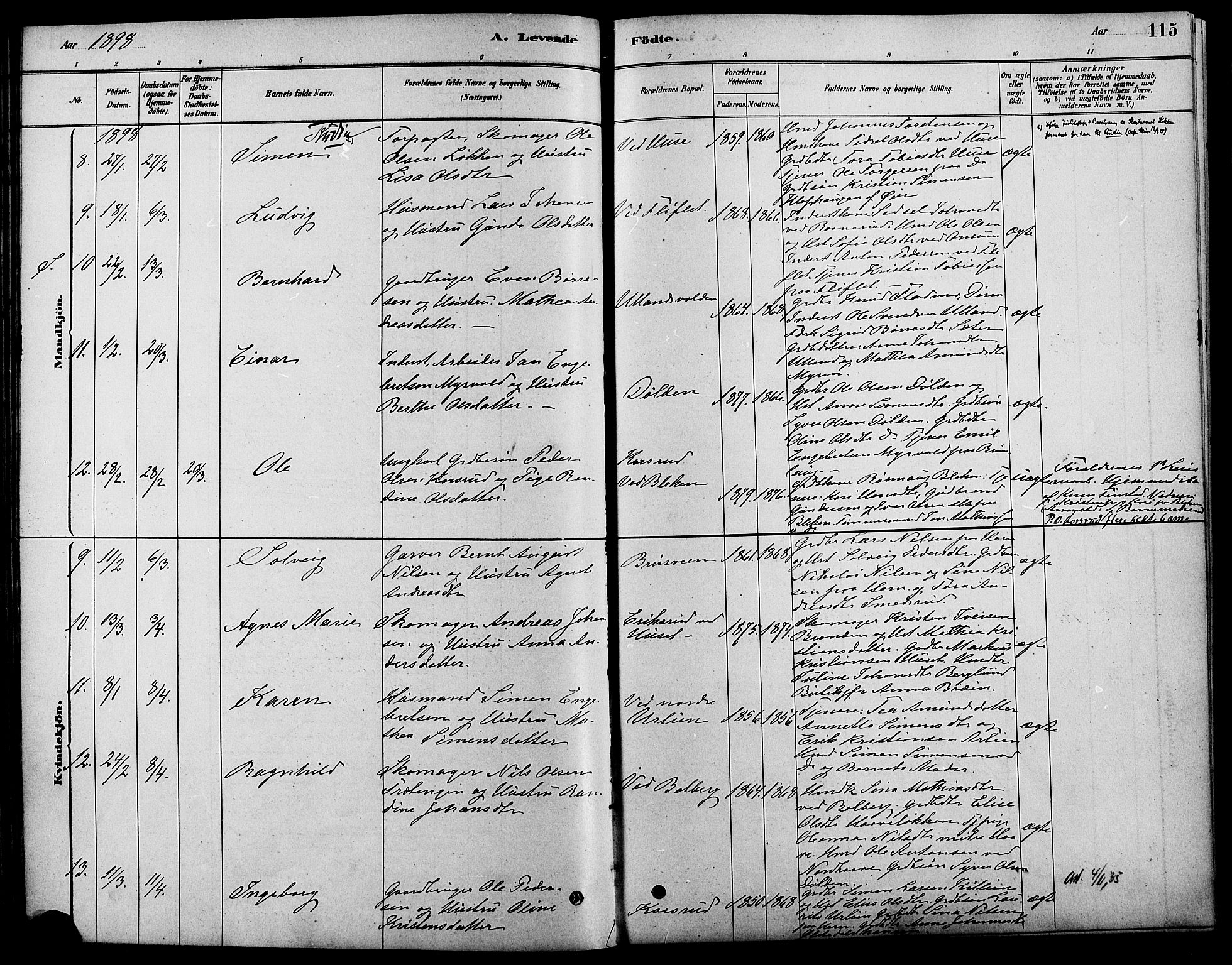 Fåberg prestekontor, SAH/PREST-086/H/Ha/Haa/L0008: Parish register (official) no. 8, 1879-1898, p. 115