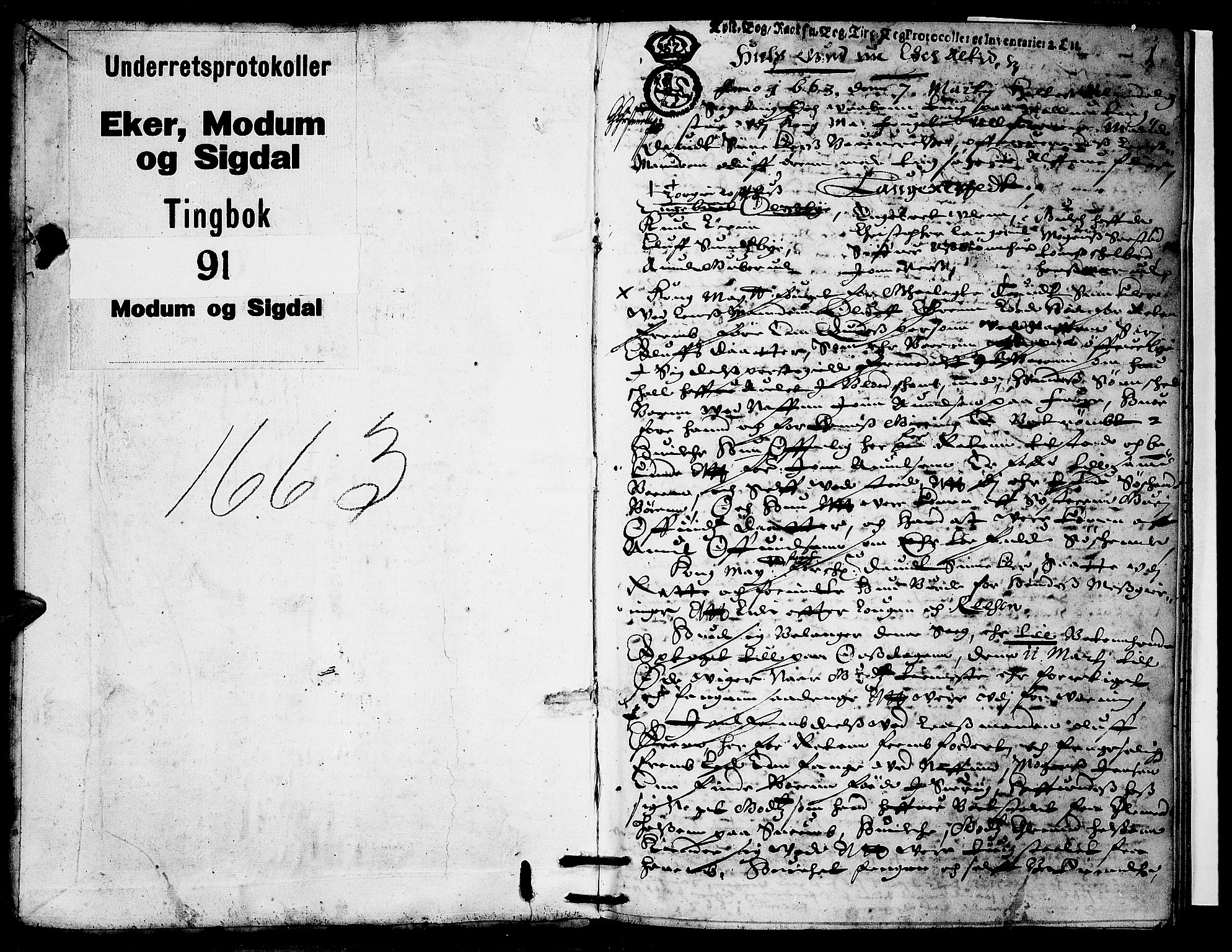 Eiker, Modum og Sigdal sorenskriveri, SAKO/A-123/F/Fa/Faa/L0030: Tingbok, 1663, p. 1