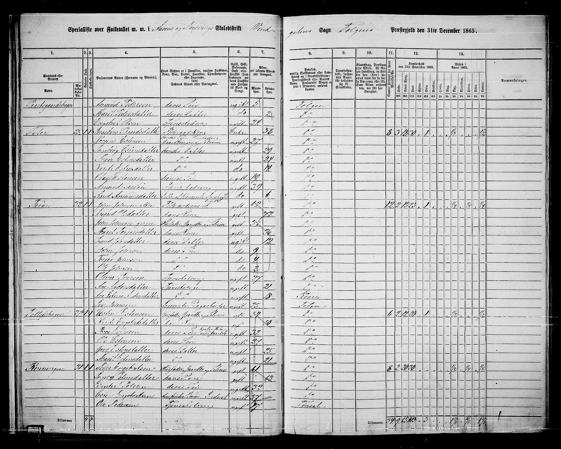 RA, 1865 census for Tolga, 1865, p. 21