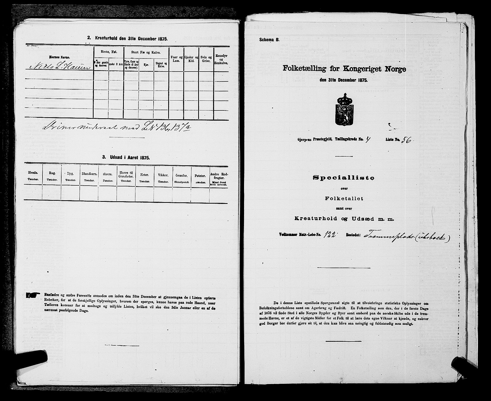 SAKO, 1875 census for 0812P Gjerpen, 1875, p. 584